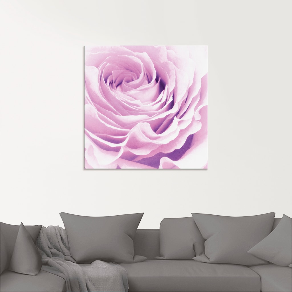 Artland Glasbild »Pastell Rose«, Blumen, (1 St.)