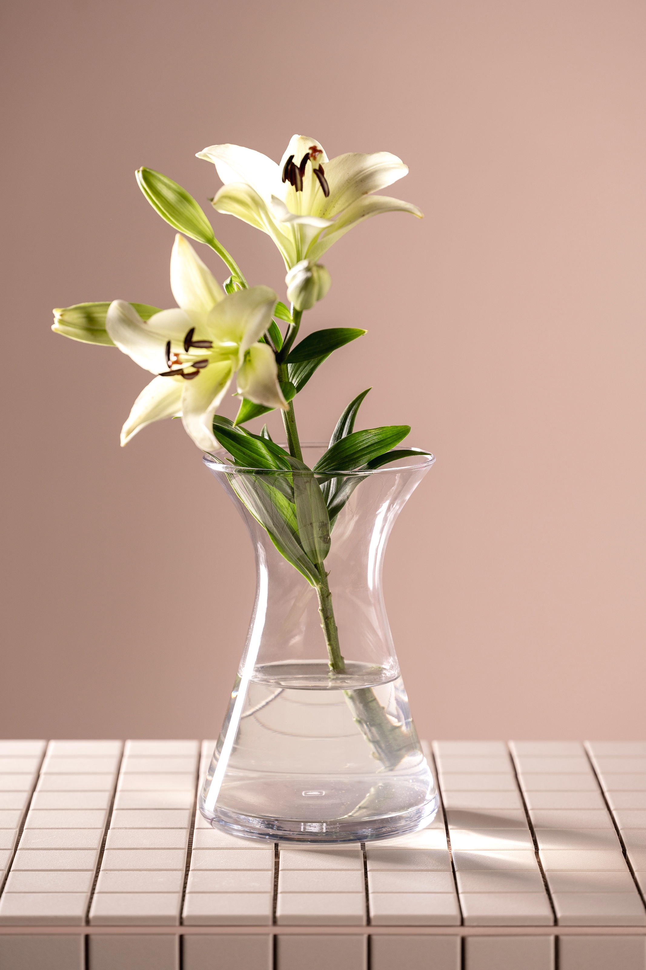 LEONARDO Dekovase »GK/Vase GIA«