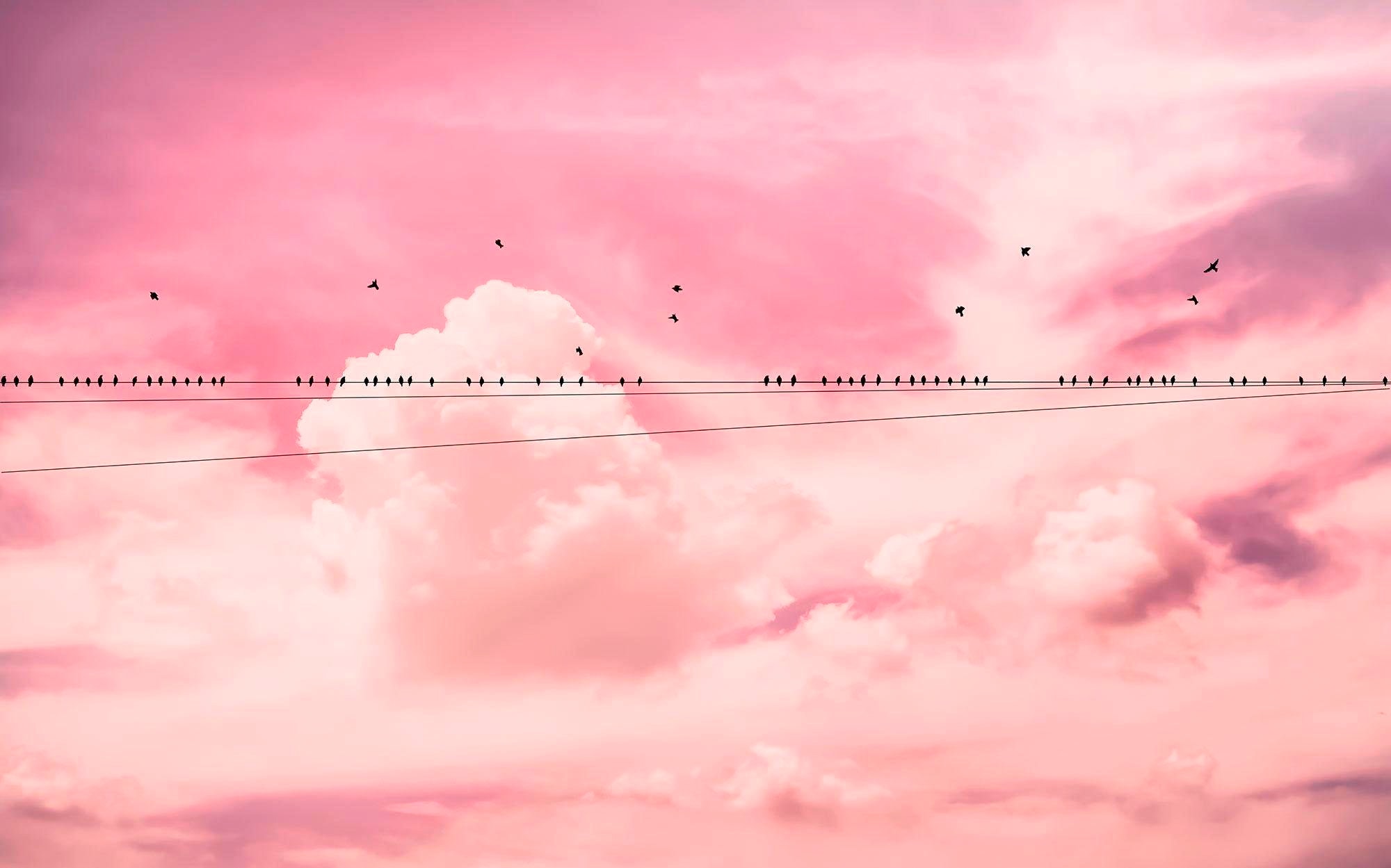 Komar Vliestapete "Digitaldruck Vlies - Cloud Wire - Größe 400 X 250 Cm" Bedruckt Glatt Wohnzimmer, Schlafzimmer