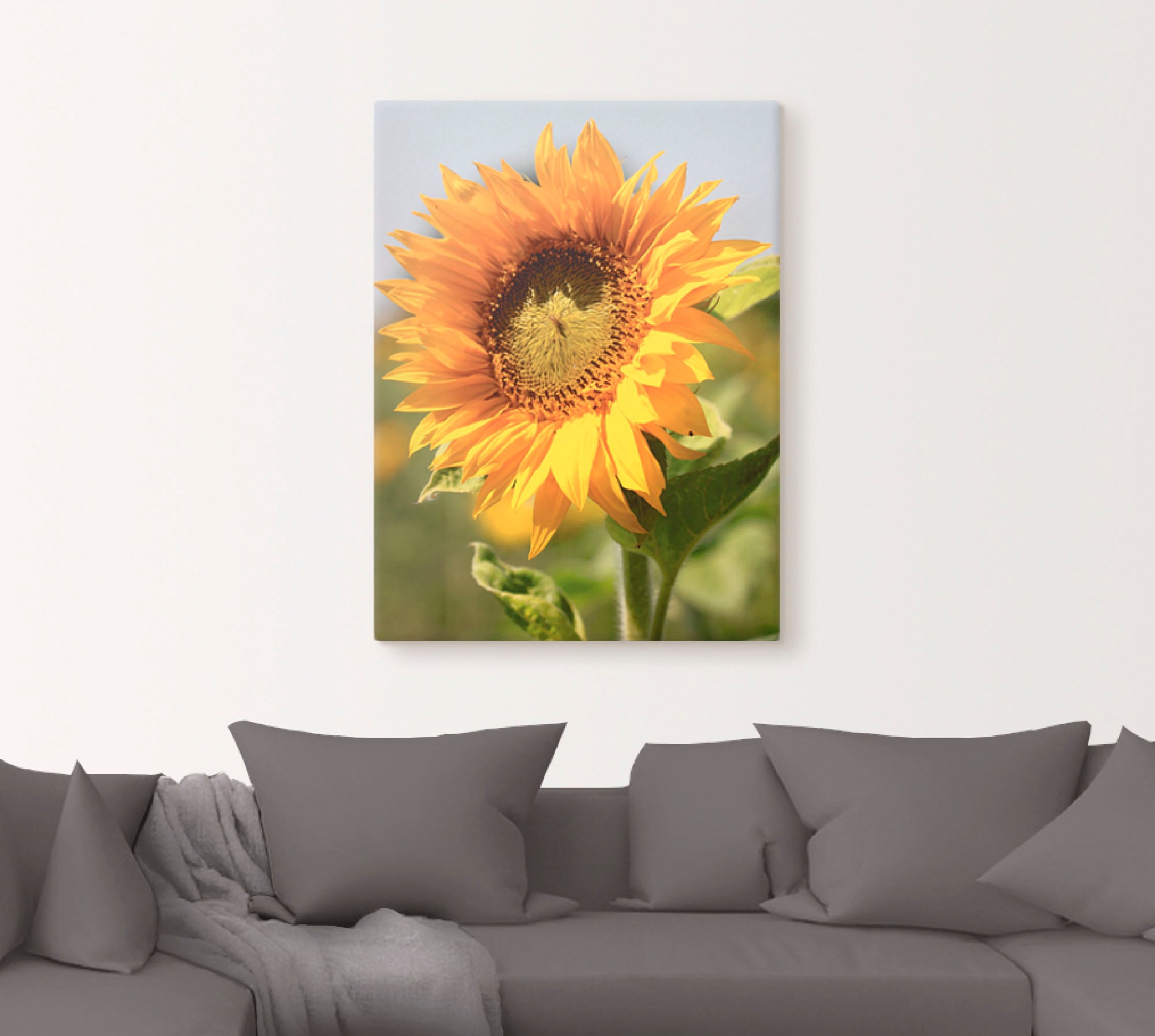 Artland Wandbild "Sonnenblume", Blumen, (1 St.), als Leinwandbild, Poster, günstig online kaufen