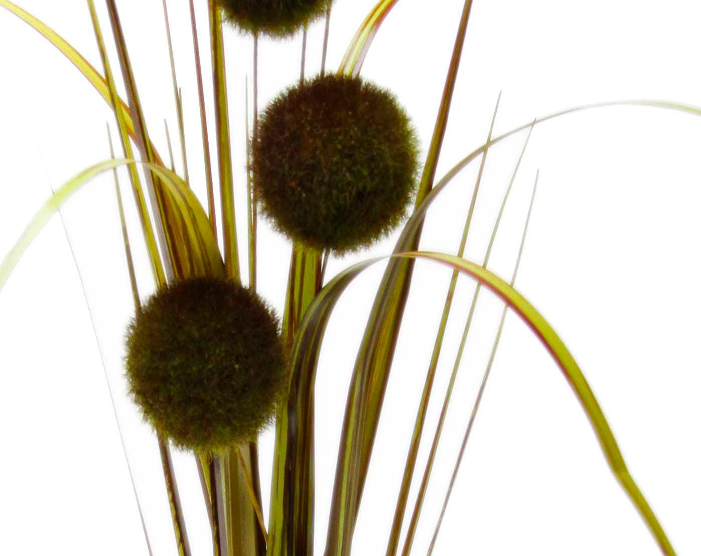 I.GE.A. Kunstpflanze »Allium 2er im Set Gras«, Dekozweig, | kaufen BAUR