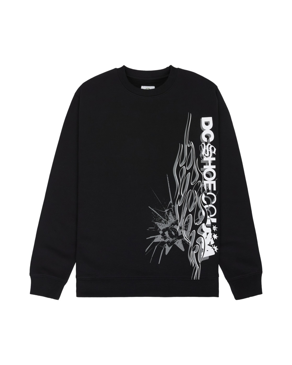 DC Shoes Sweatshirt »DC Side Flame«
