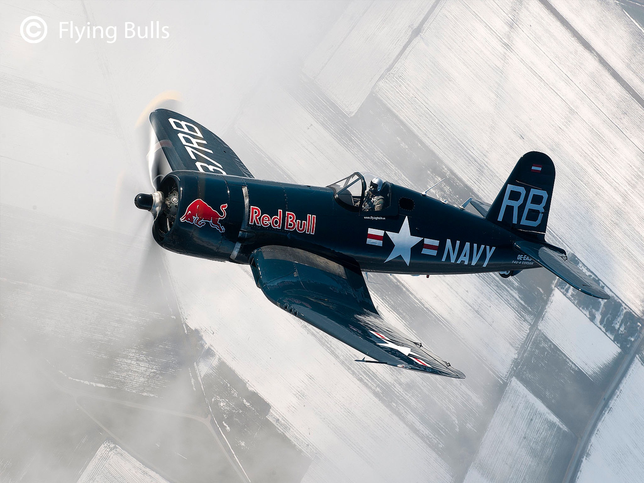 Revell® Modellbausatz »Flying Bulls F4U-4 Corsair«, 1:48