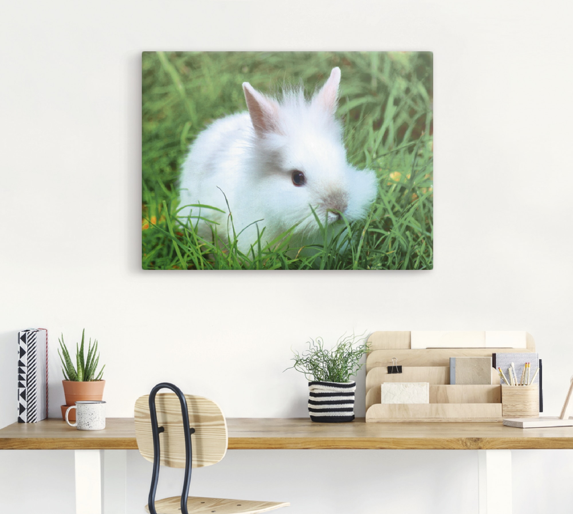 Artland Wandbild »Weißes Zwergkaninchen Baby«, Wildtiere, (1 St.), als Poster, Wandaufkleber in verschied. Größen