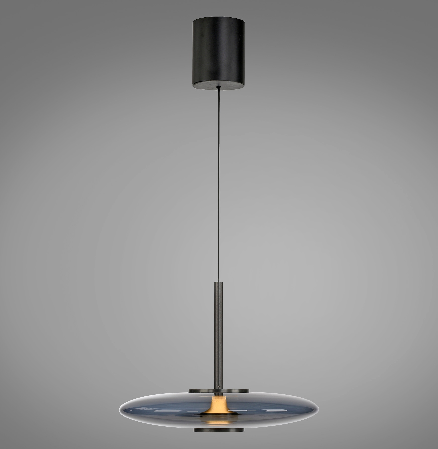 Neuhaus PURE LED Pendelleuchte »PURE E-Vitrum« LED-Board 1 Stk. warmweiß - kaltweiß e-LIFT®-Funktion, CCT, dimmbar über Fernbedíenung