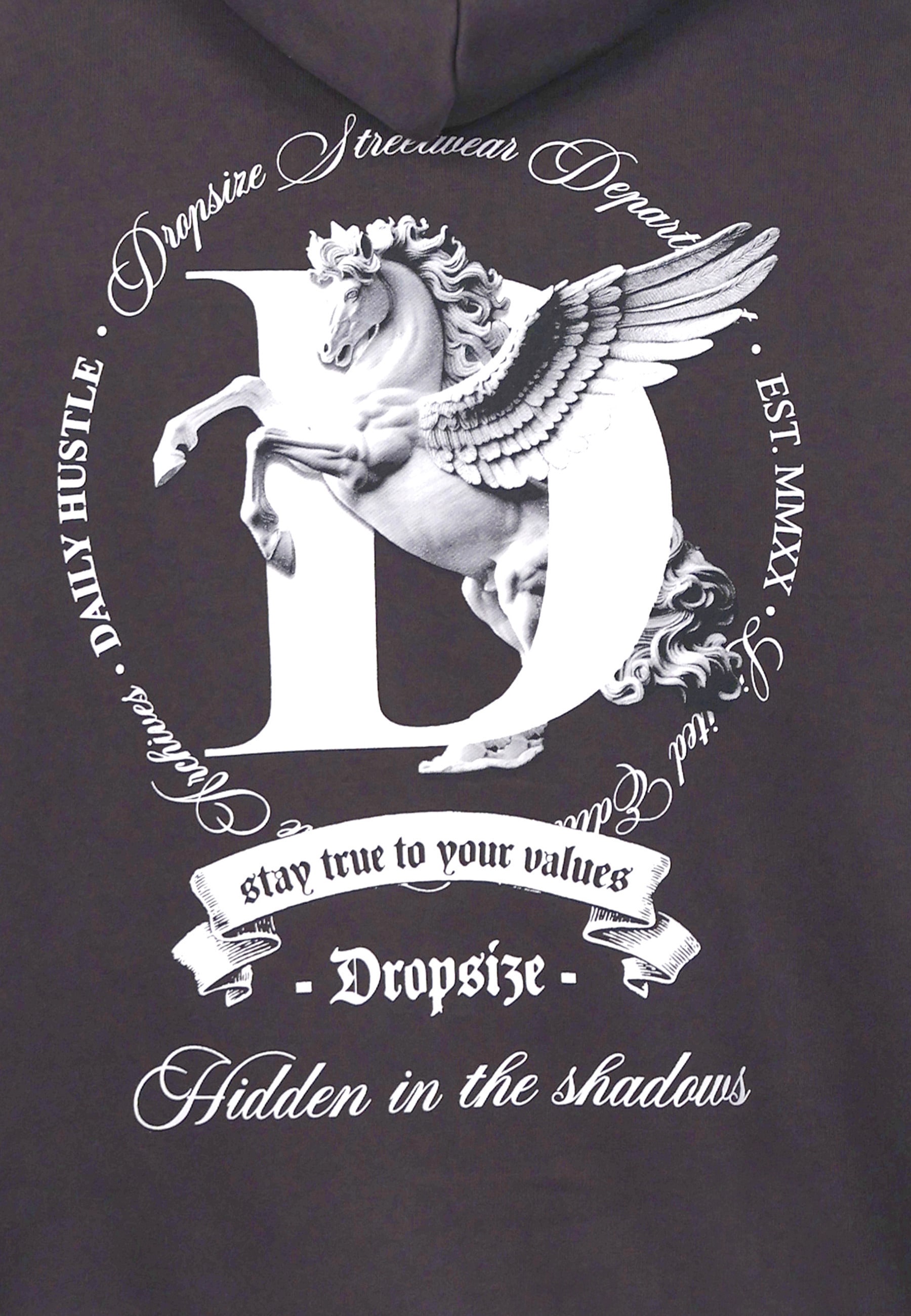Dropsize Kapuzenpullover »Dropsize HEAVY OVERSIZE PEGASUS HOODIE« 1 Stk.