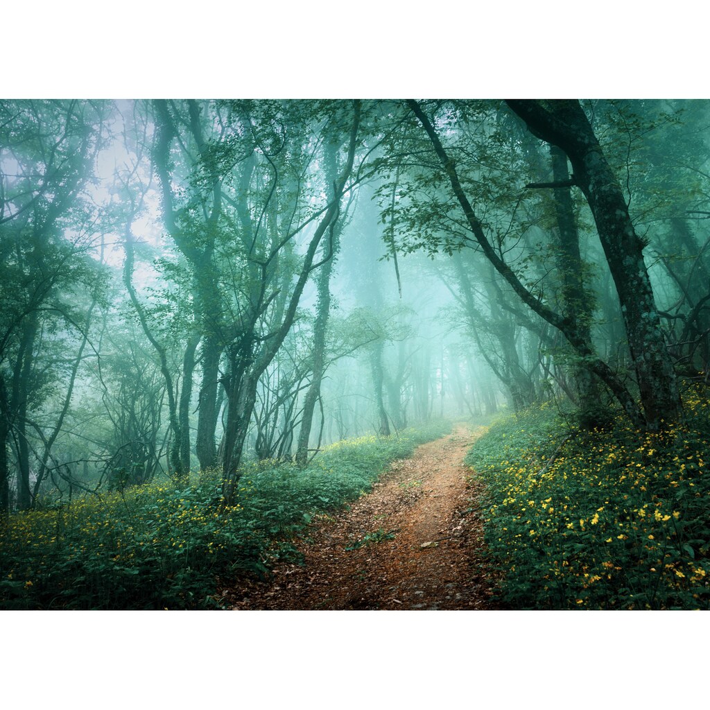 Papermoon Fototapete »Misty Forest in Fog«