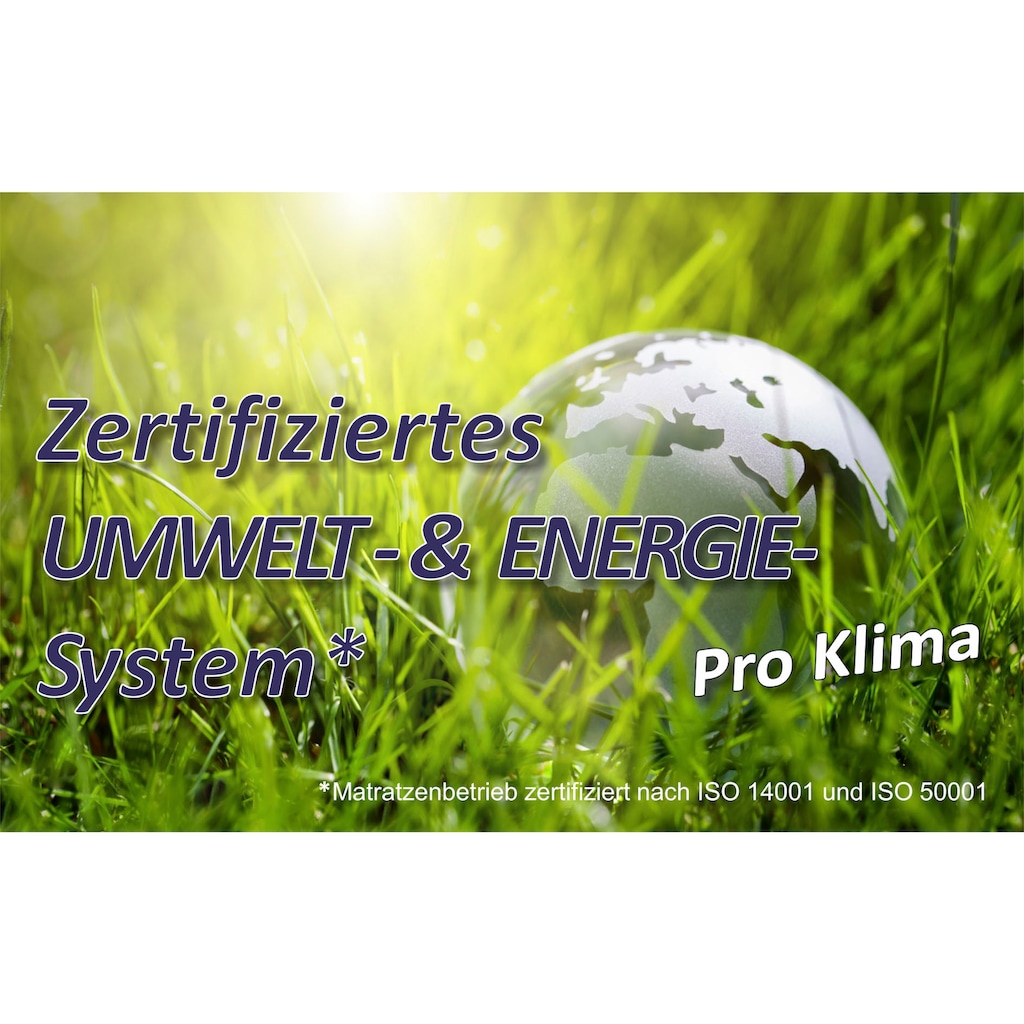 Beco Lattenrost »Optima LR-KF«, (1 St.)