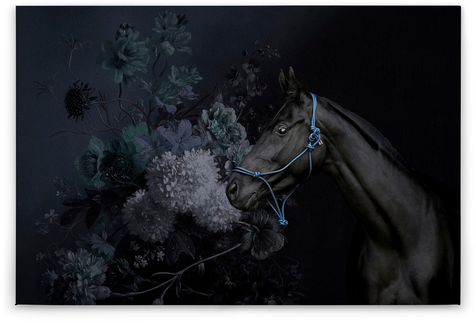 A.S. Création Leinwandbild »horses«, Kunst-Tiere-Kinder, (1 St.), Keilrahmen Bild Blumen Floral Pferd Leinwand-Bild Wohnzimmer modern