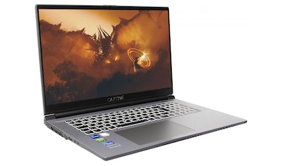 CAPTIVA Gaming-Notebook »Advanced Gaming I69-134«, (43,9 cm/17,3 Zoll), Intel, Core... kaufen
