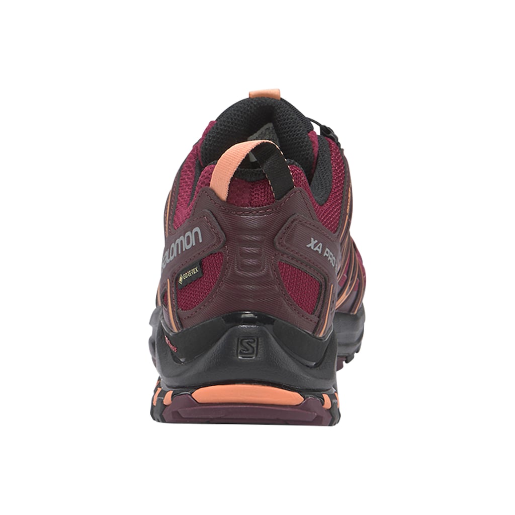 Salomon Laufschuh »XA PRO 3D Gore-Tex W«, wasserdicht