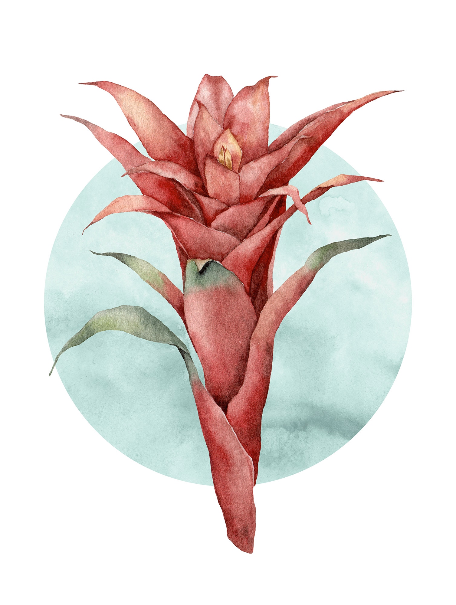 Komar Bild »Funky Flower« Natur 1 Stk. tlg. Wandbild zur Dekoration - ohne Rahmen