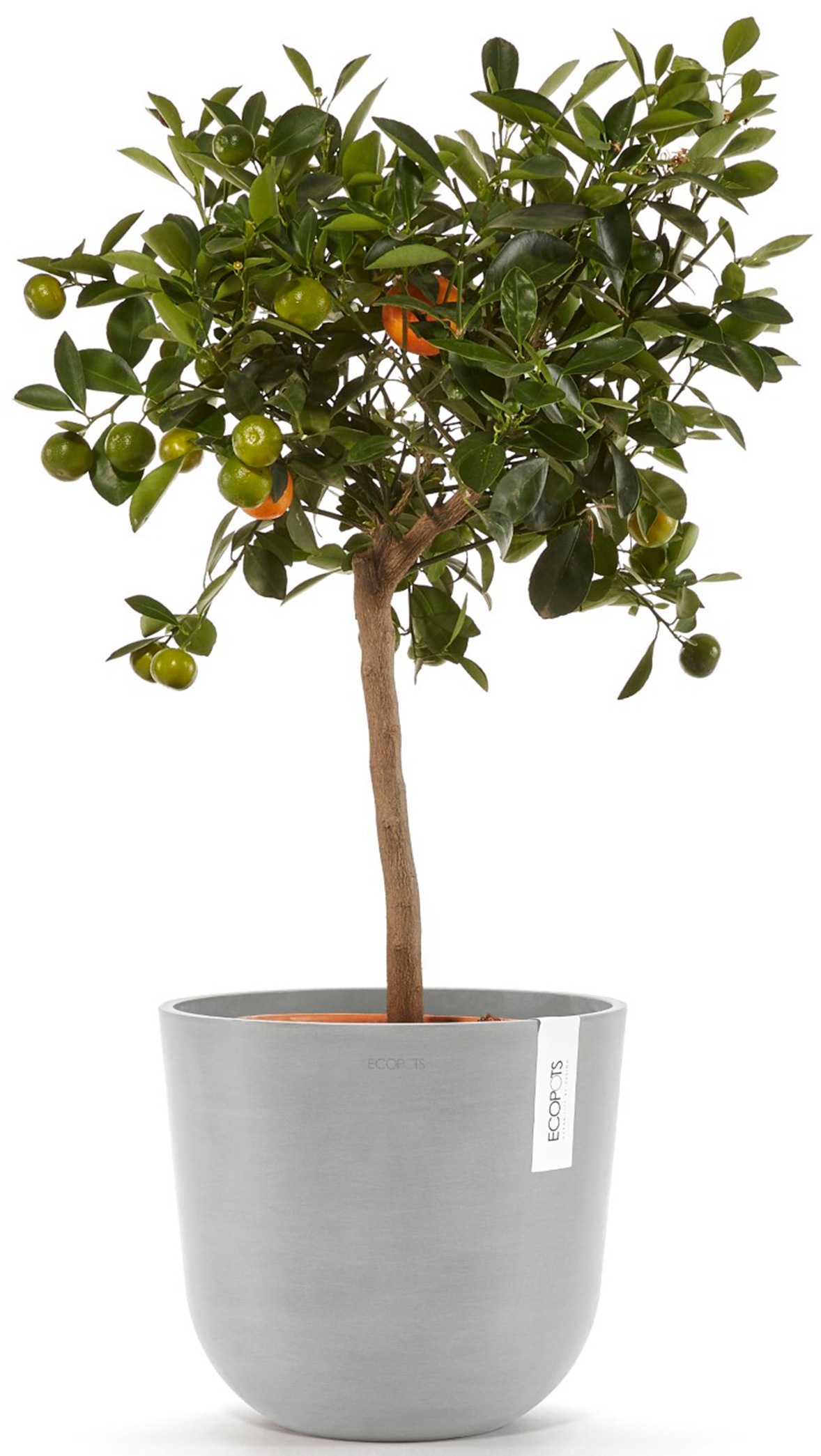 ECOPOTS Blumentopf »Oslo 25 + Wassersystem Weißgrau«, für innen und außen: frostsicher, bruchsicher und lichtbeständig