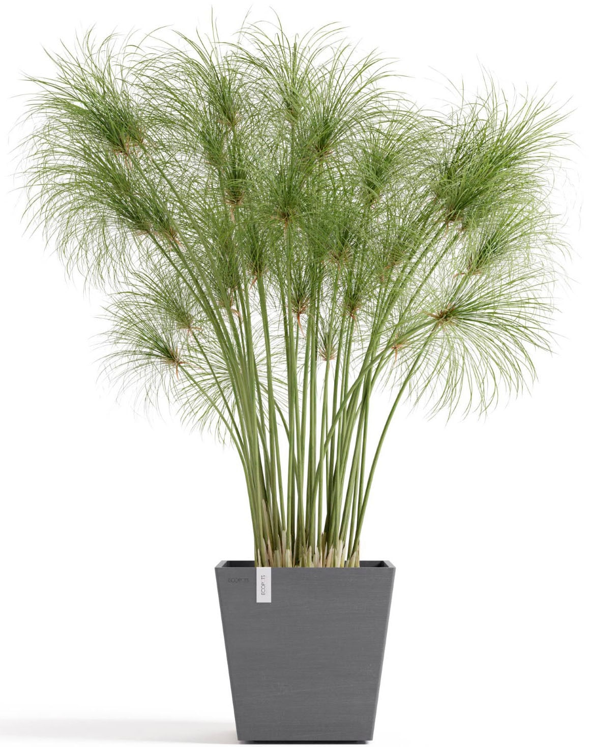 ECOPOTS Blumentopf »Rotterdam 25 + Wassersystem Grau« für innen und außen: frostsicher, bruchsicher und lichtbeständig