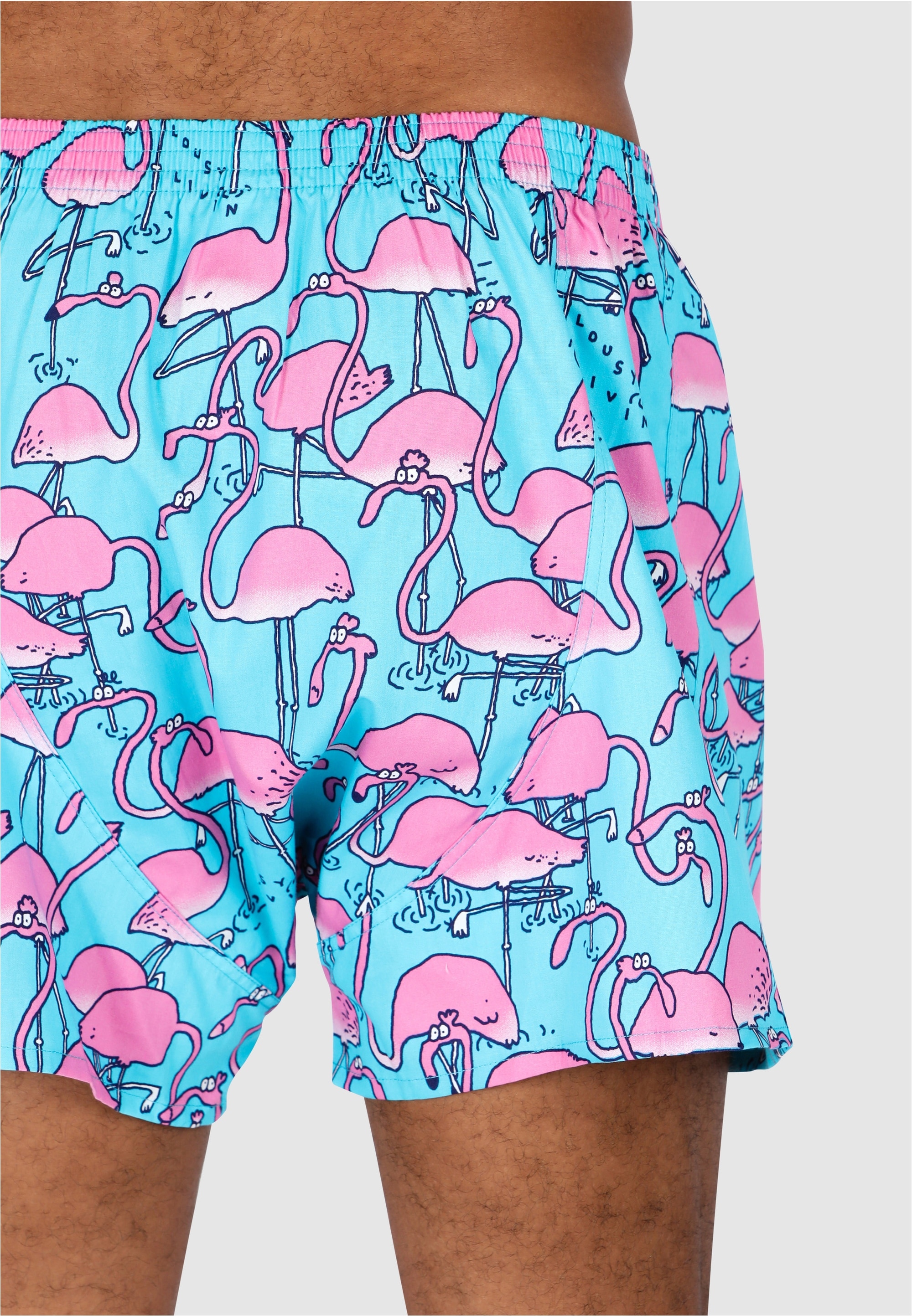 Lousy Livin Boxershorts »Dino & Greater Flamingo« 2 Stk. mit lässigen Allover-Prints