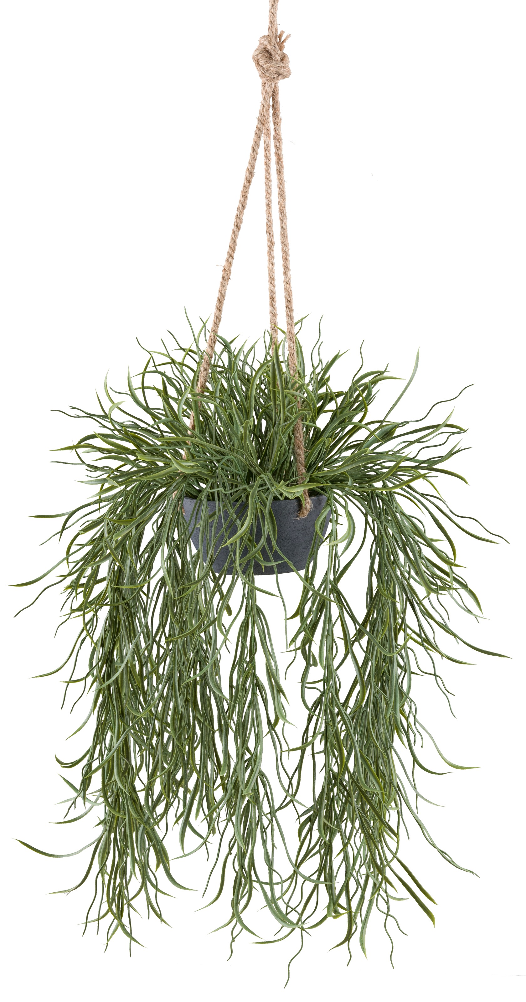 Creativ green Kunstpflanze "Hängepflanze Rhipsalis", in grauem Hängetopf günstig online kaufen