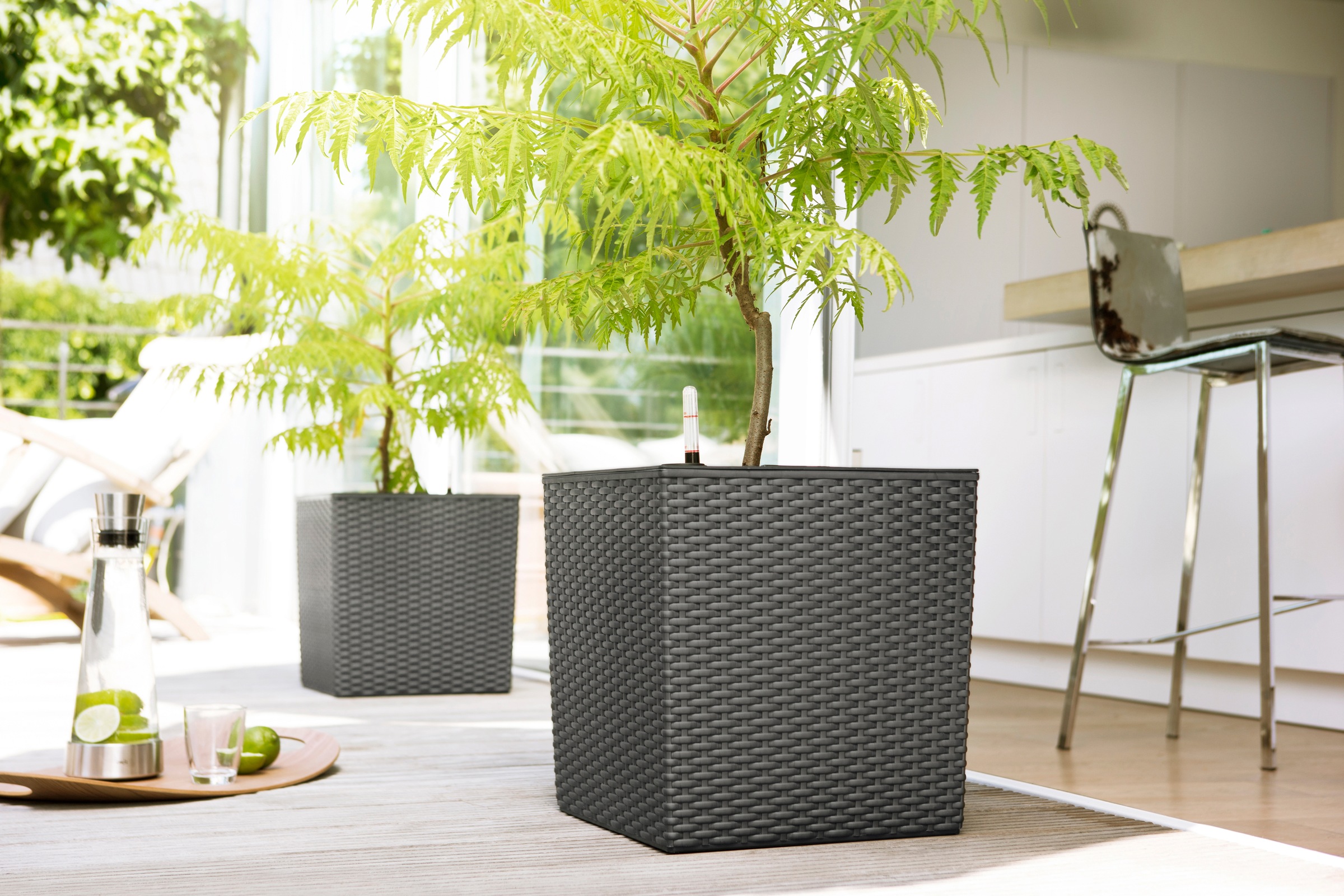 Poétic Blumenkasten »CASA MESH Würfel«, BxTxH: 30x30x31cm bestellen | BAUR