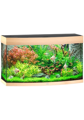 JUWEL AQUARIEN Akvariumas »Vision 180 LED« 180 Liter ...