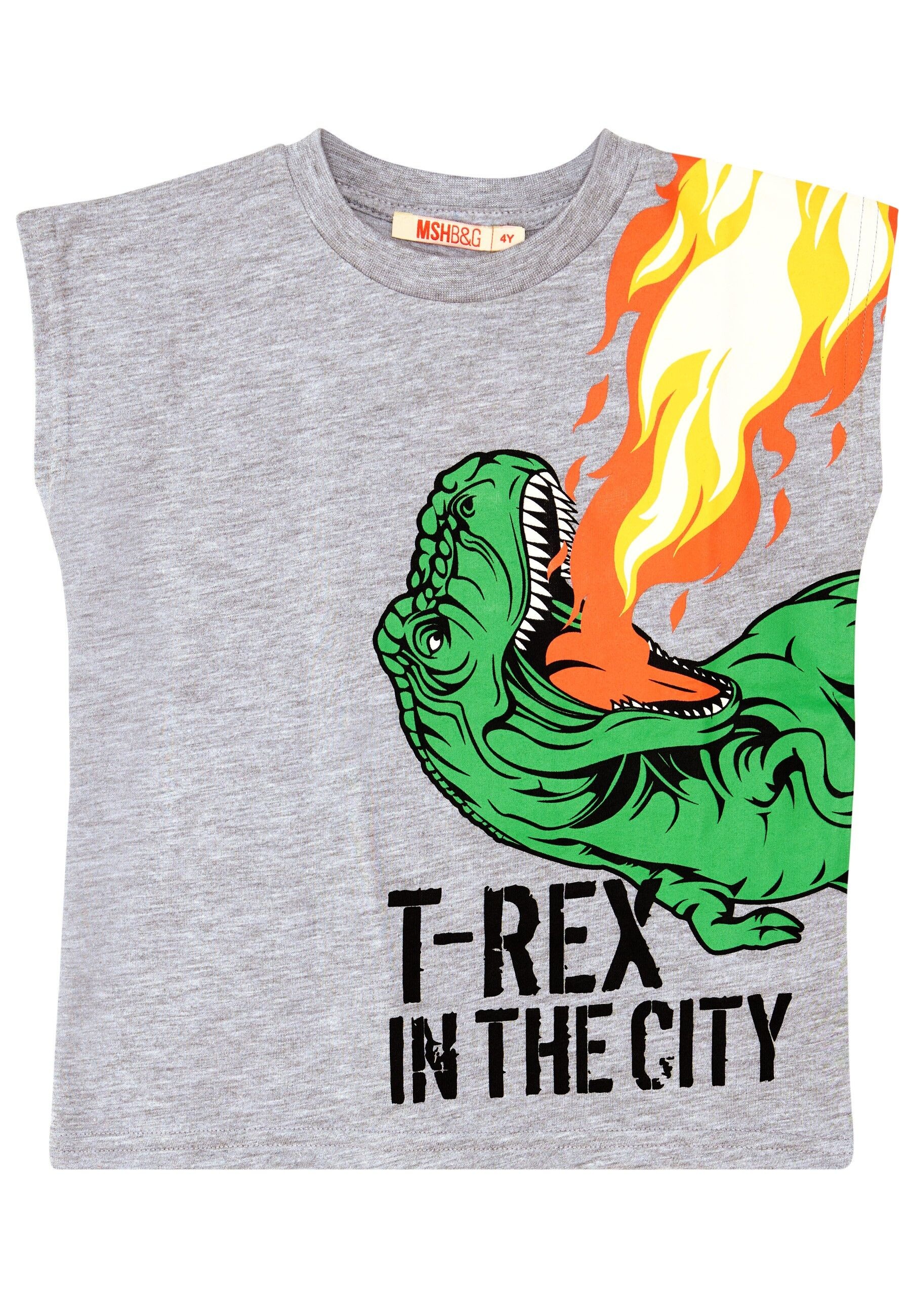 Denokids Hausanzug »T-Rex Flame«, (2 tlg.), mit Dinosaurier-Print