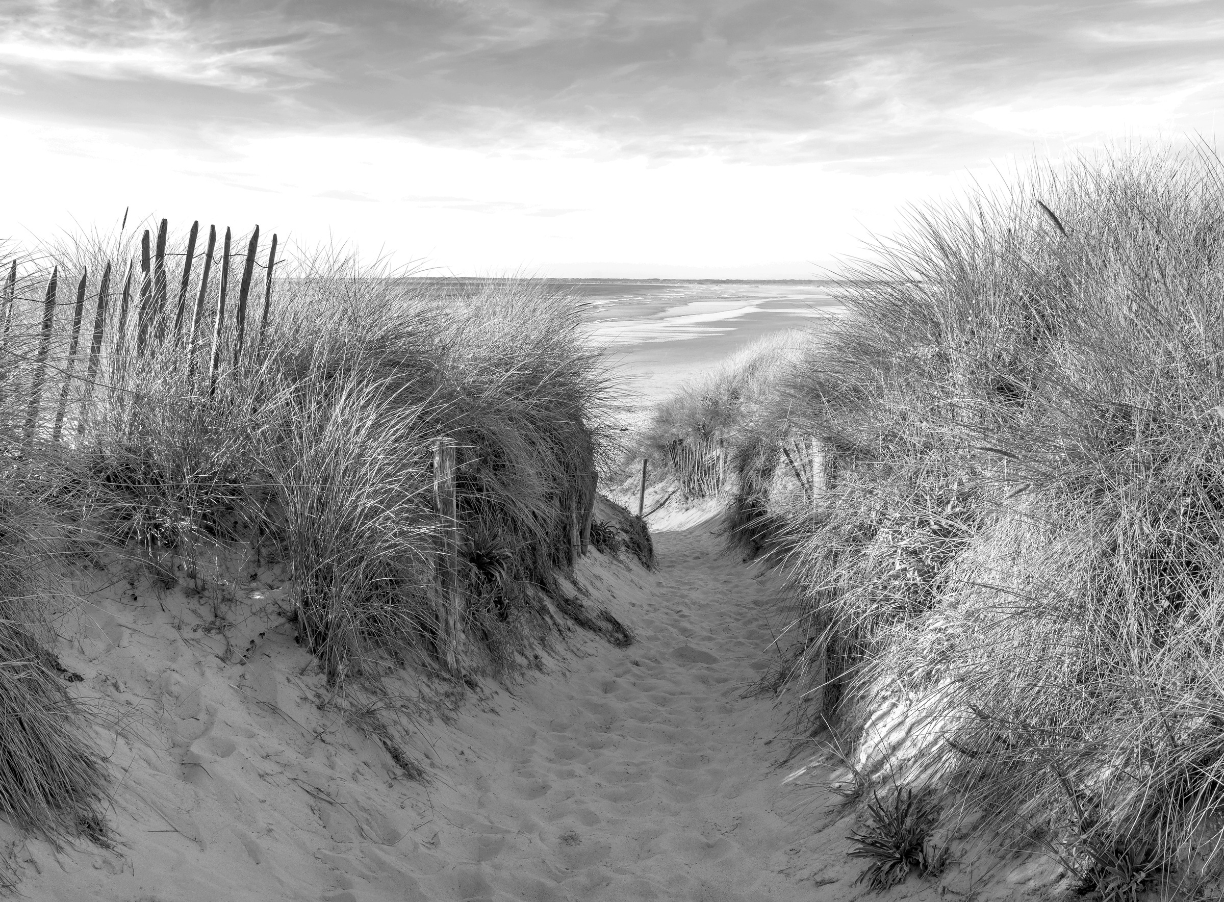 Papermoon Fototapete »Strand Schwarz & Weiß«