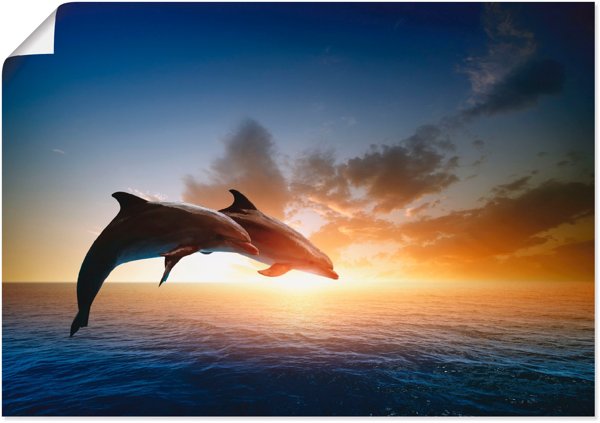 Wandbild »Delfinpaar«, Wassertiere, (1 St.), als Leinwandbild, Poster, Wandaufkleber...