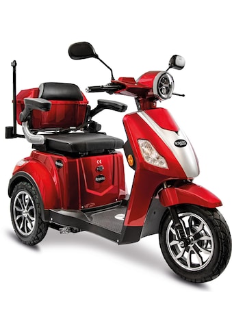 Rolektro Elektromobil »Rolektro E-Trike 15 V.3 Lithium«, 1000 W, 15 km/h, (mit Topcase) kaufen