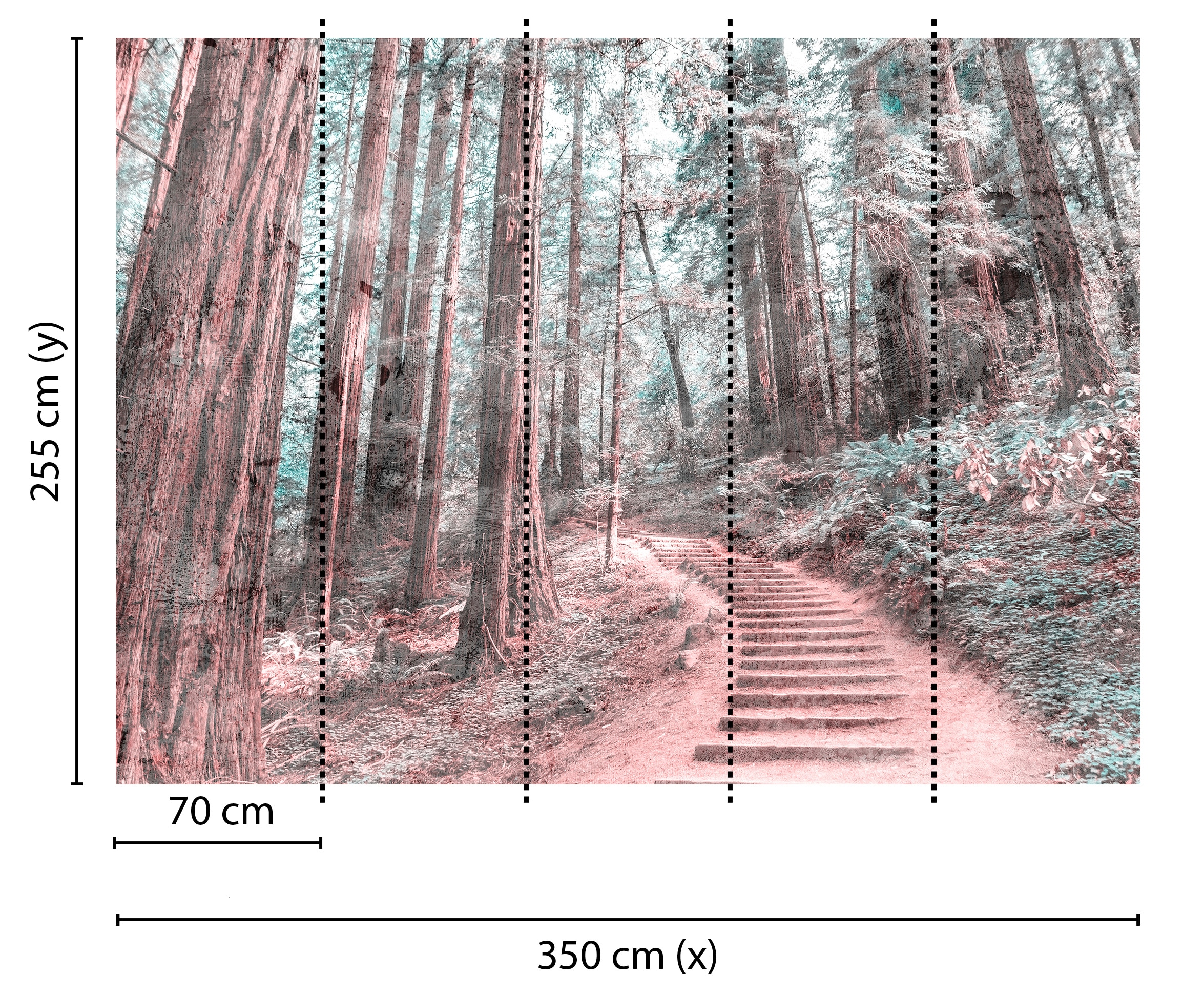 living walls Fototapete »Designwalls Forest Walk 2« glatt Vlies, Wand, Schräge, Decke