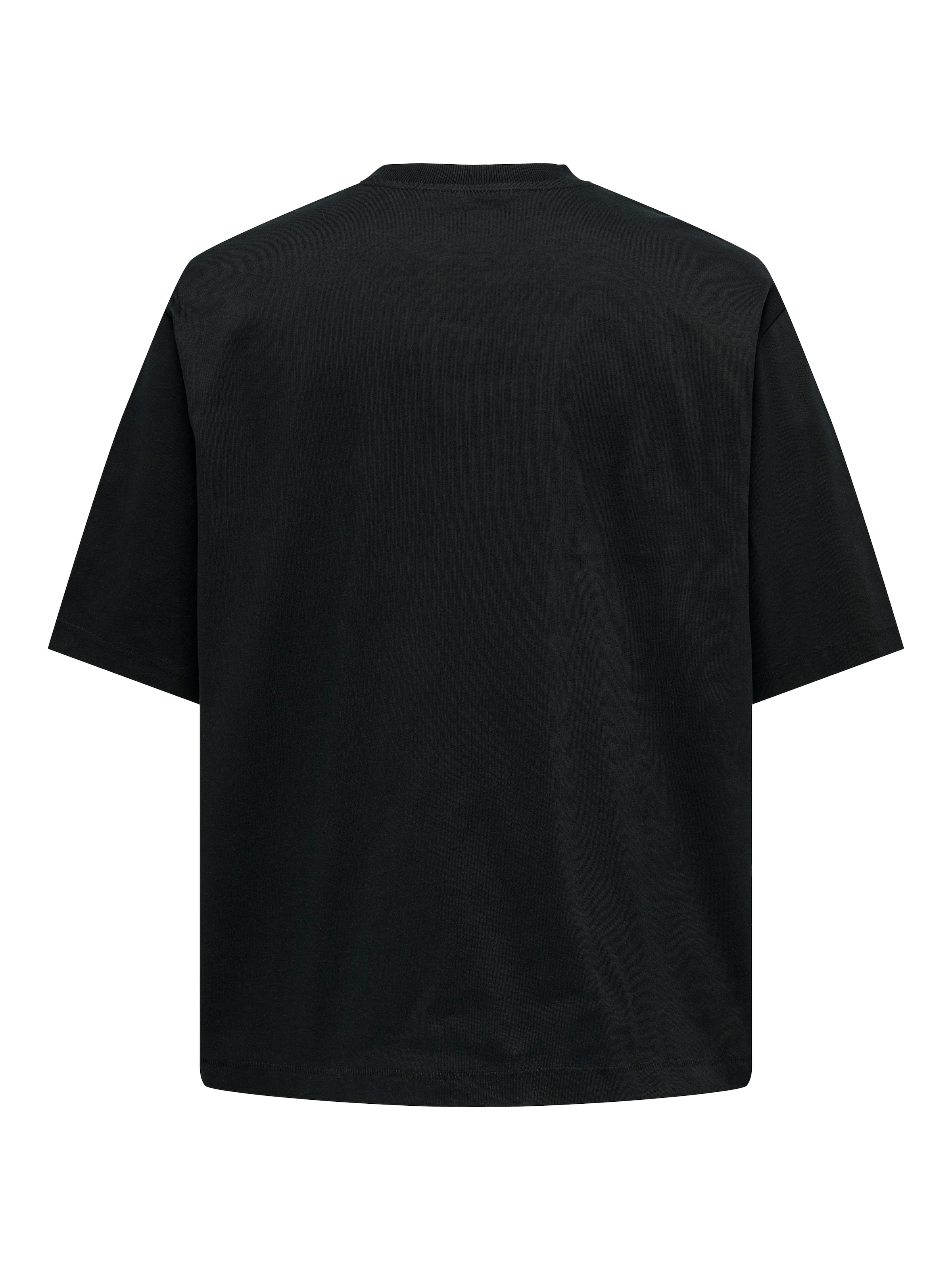 ONLY & SONS Rundhalsshirt »ONSMILLENIUM OVZ SS TEE NOOS«