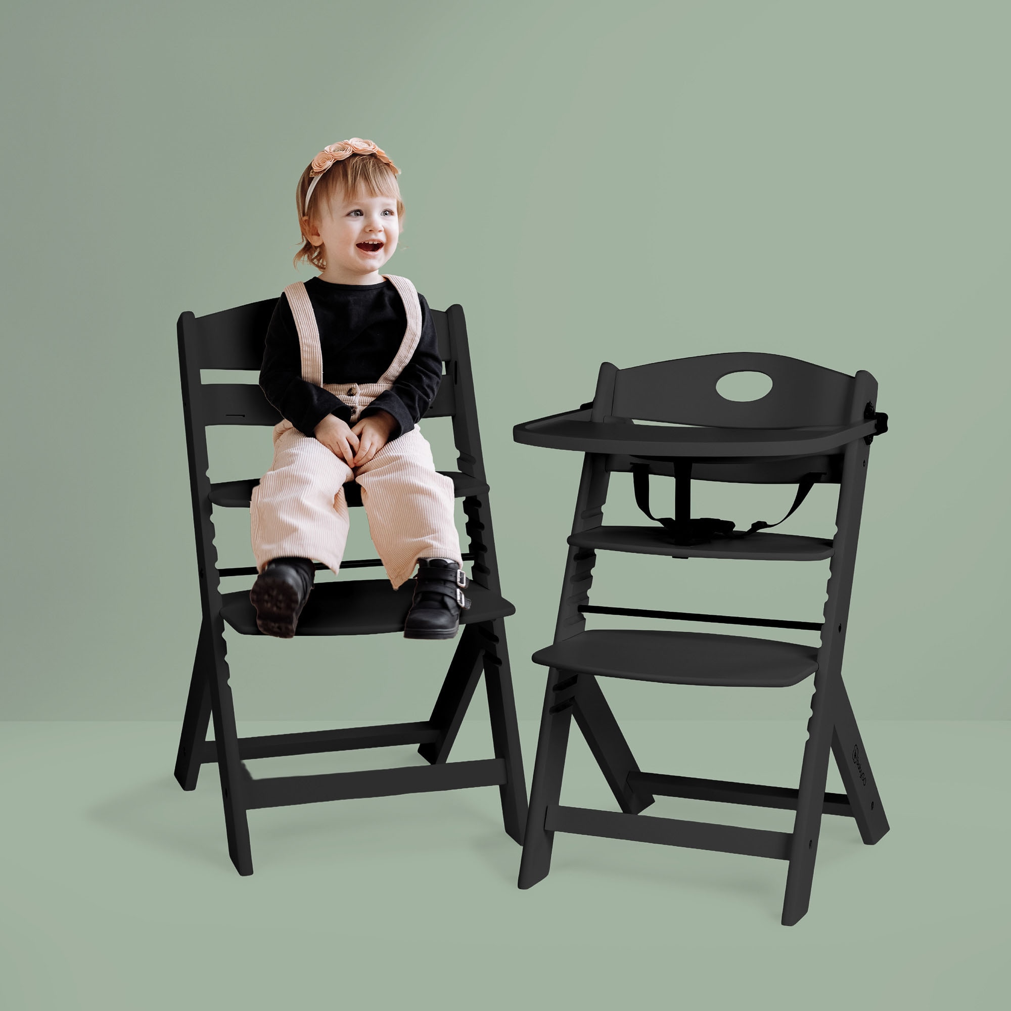 BabyGo Hochstuhl »Family Pro« ()