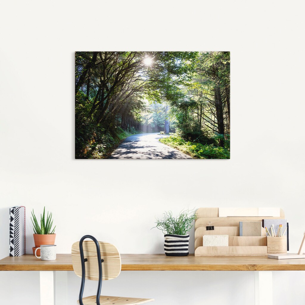 Artland Wandbild »Sonniger Wald«, Baumbilder, (1 St.)