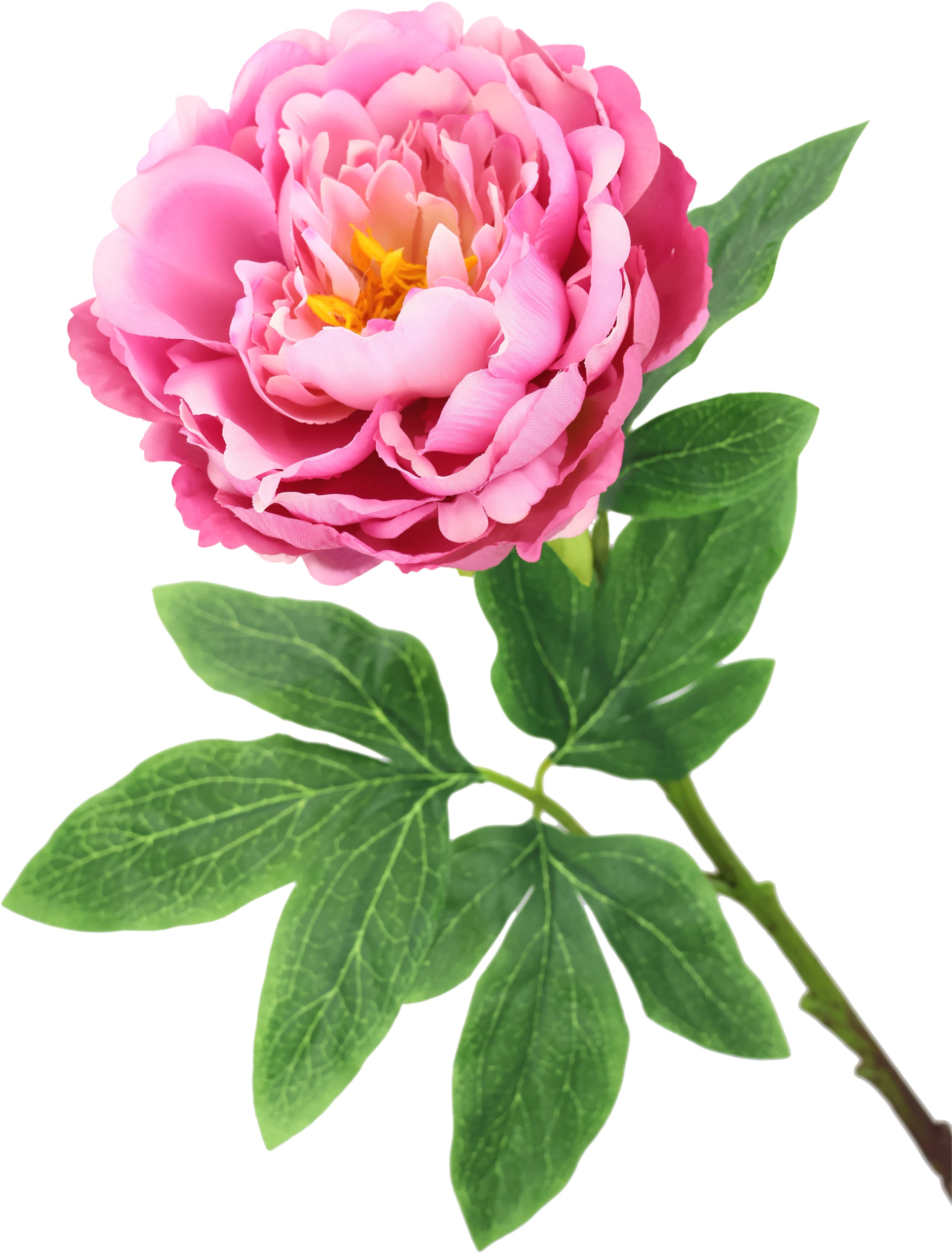 I.GE.A. Kunstblume »Päonie Bauernrose«, Pfingstrosen Einzelblume, 3er Set