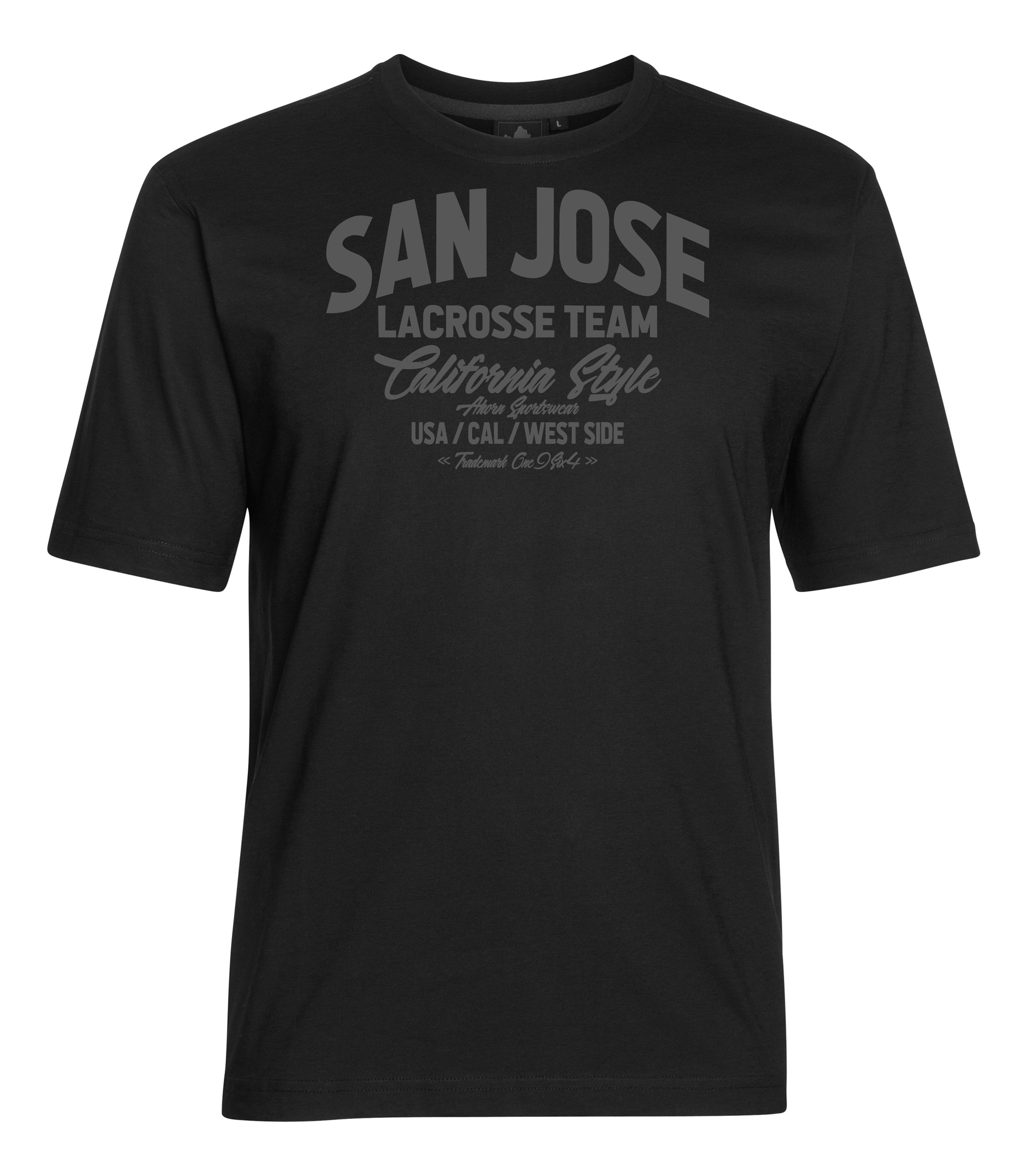 AHORN SPORTSWEAR T-Shirt "SAN JOSE" mit Front-Print und Rundhals-Ausschnitt