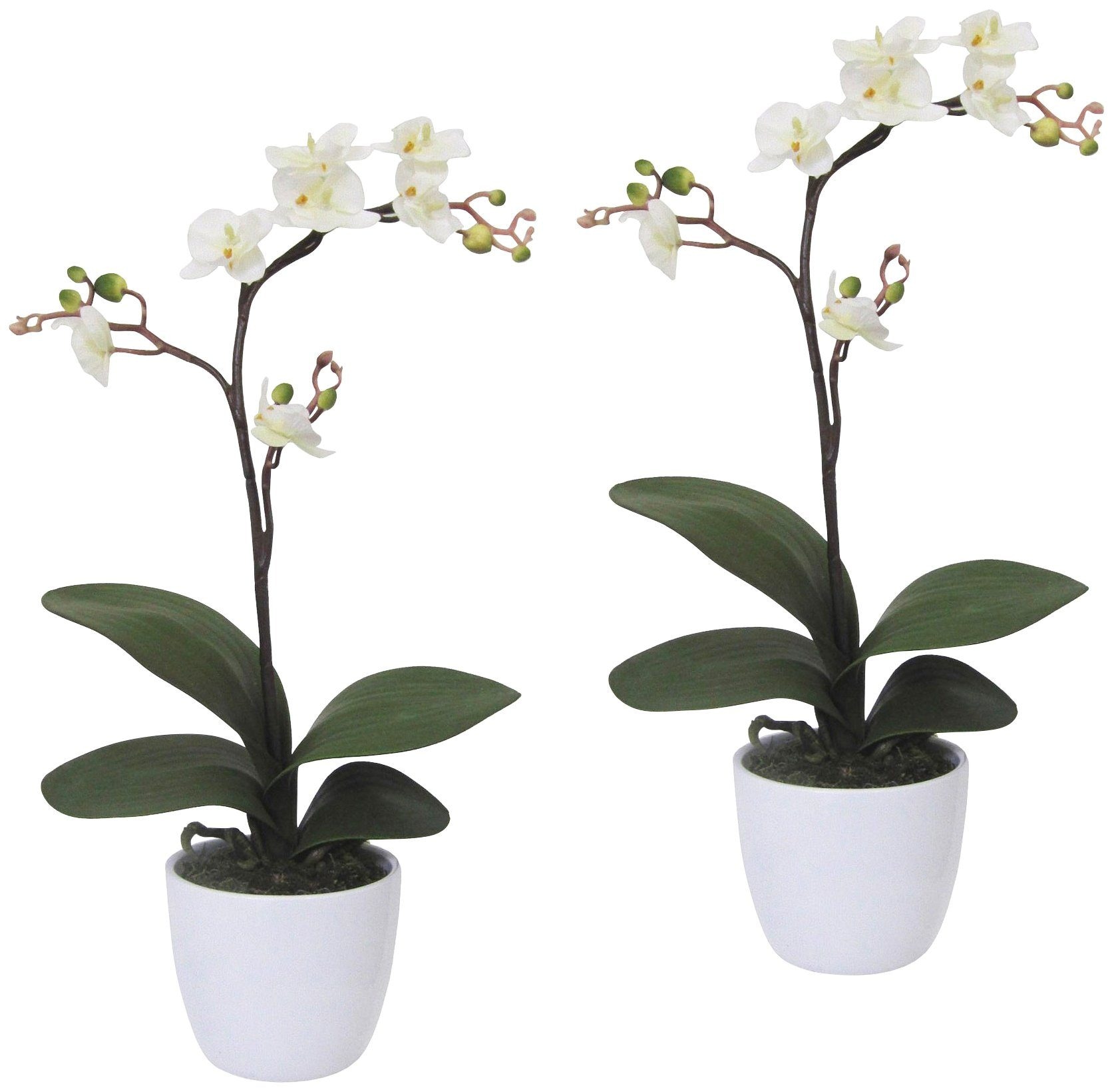 Creativ green Kunstpflanze »Orchidee Phalaenopsis«, im Keramiktopf