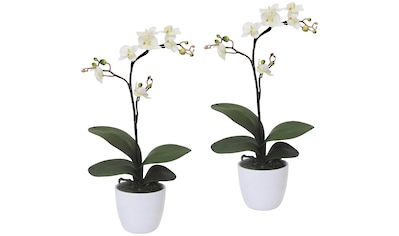 Kunstpflanze »Orchidee Phalaenopsis«, im Keramiktopf