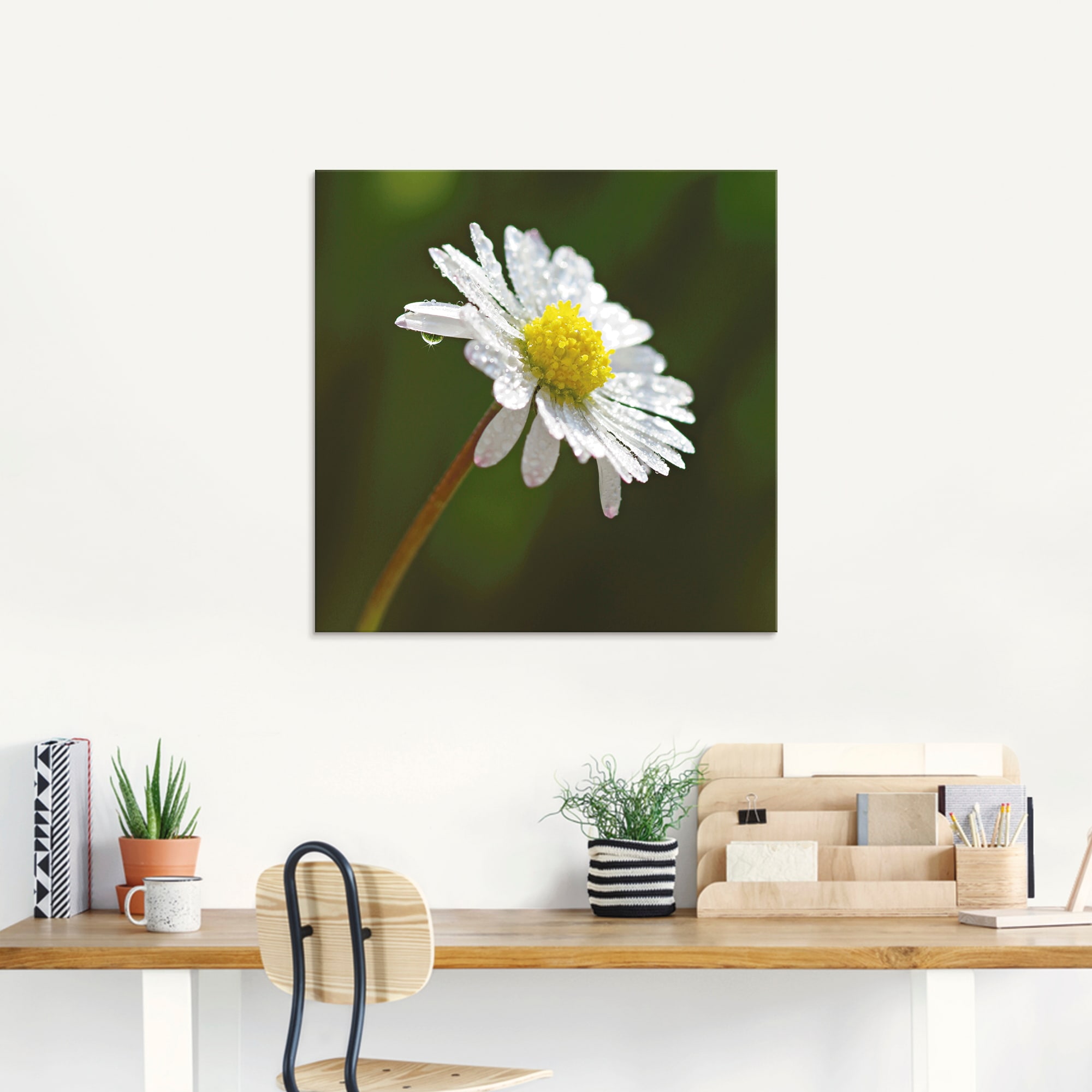 Artland Glasbild »Gänseblümchen« 1 Stk. tlg. in verschiedenen Größen