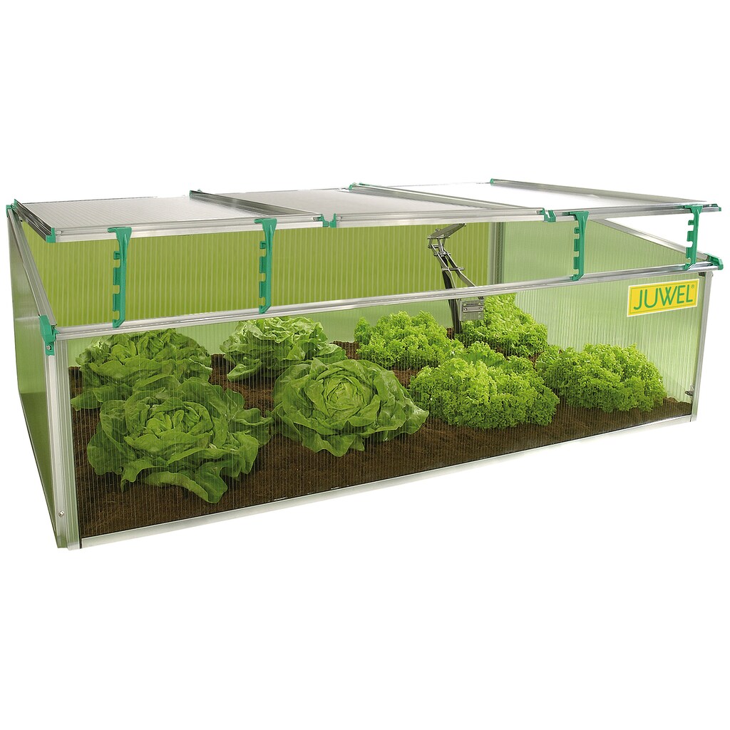 Juwel Frühbeet »Premium BIOSTAR 1500«, BxTxH: 150x80x50/40 cm