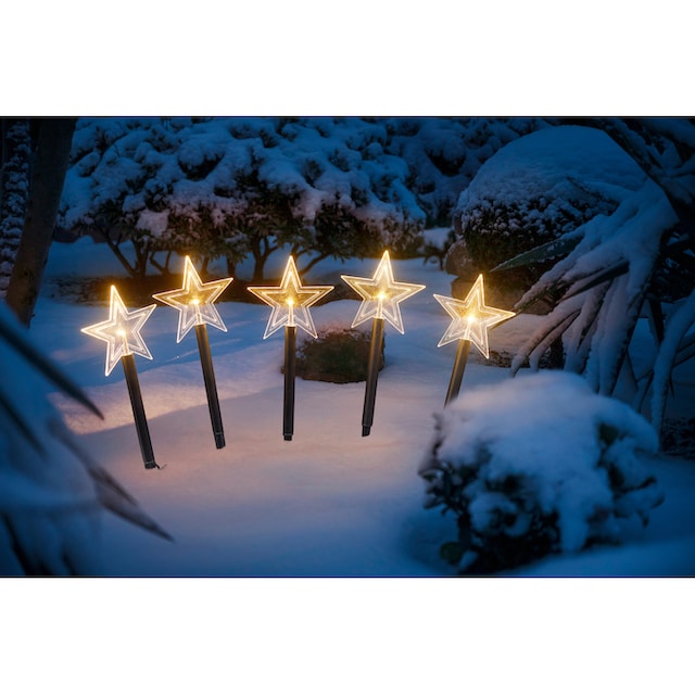 IC Winterworld LED Stern »Weihnachtsstern, Weihnachtsdeko«, Gartenstecker  mit Timerfunktion, für den Innen- und Außenbereich bestellen | BAUR
