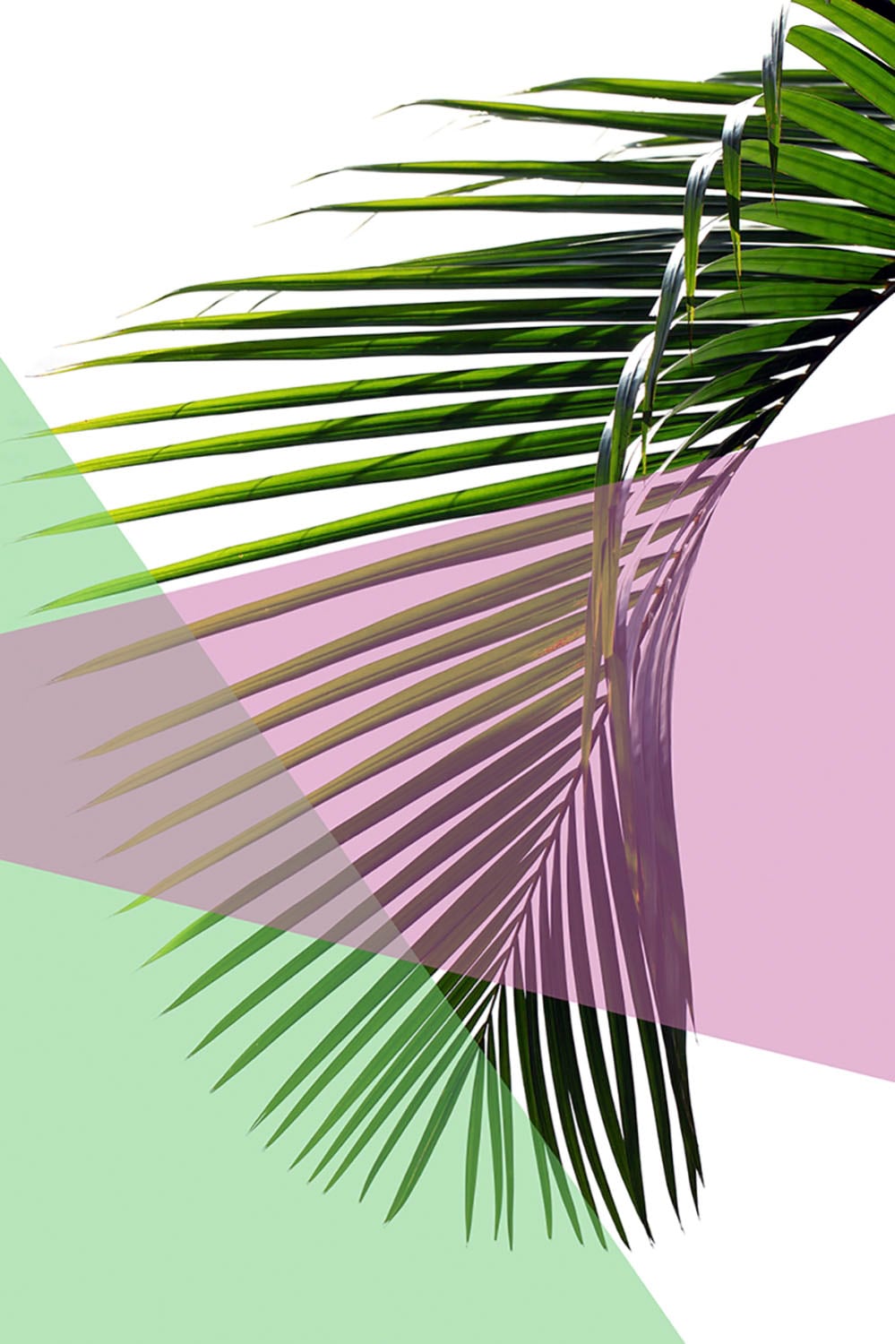 queence Acrylglasbild "Blätter" Blätter  Blätterbilder  Kunst  Pflanzen  Pf günstig online kaufen