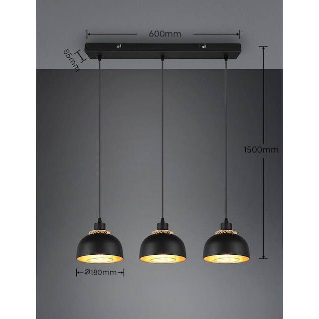 TRIO Pendelleuchte exkl BAUR | Industrie-Look schwarz-gold flammig-flammig, 3-flg, »Punch«, 3 Leuchten 40W mit Doppelschirm max 3xE27