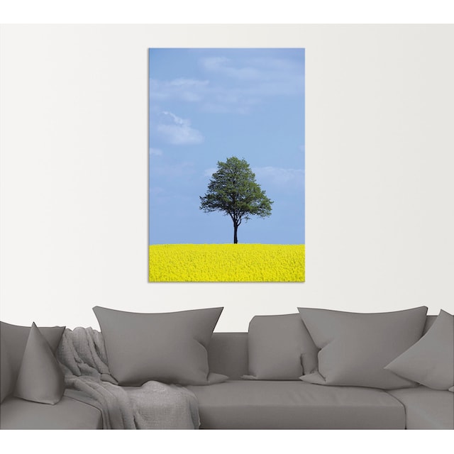 Artland Wandbild »Rapsfeld und Baum«, Wiesen & Bäume, (1 St.), als Alubild,  Leinwandbild, Wandaufkleber oder Poster in versch. Größen kaufen | BAUR