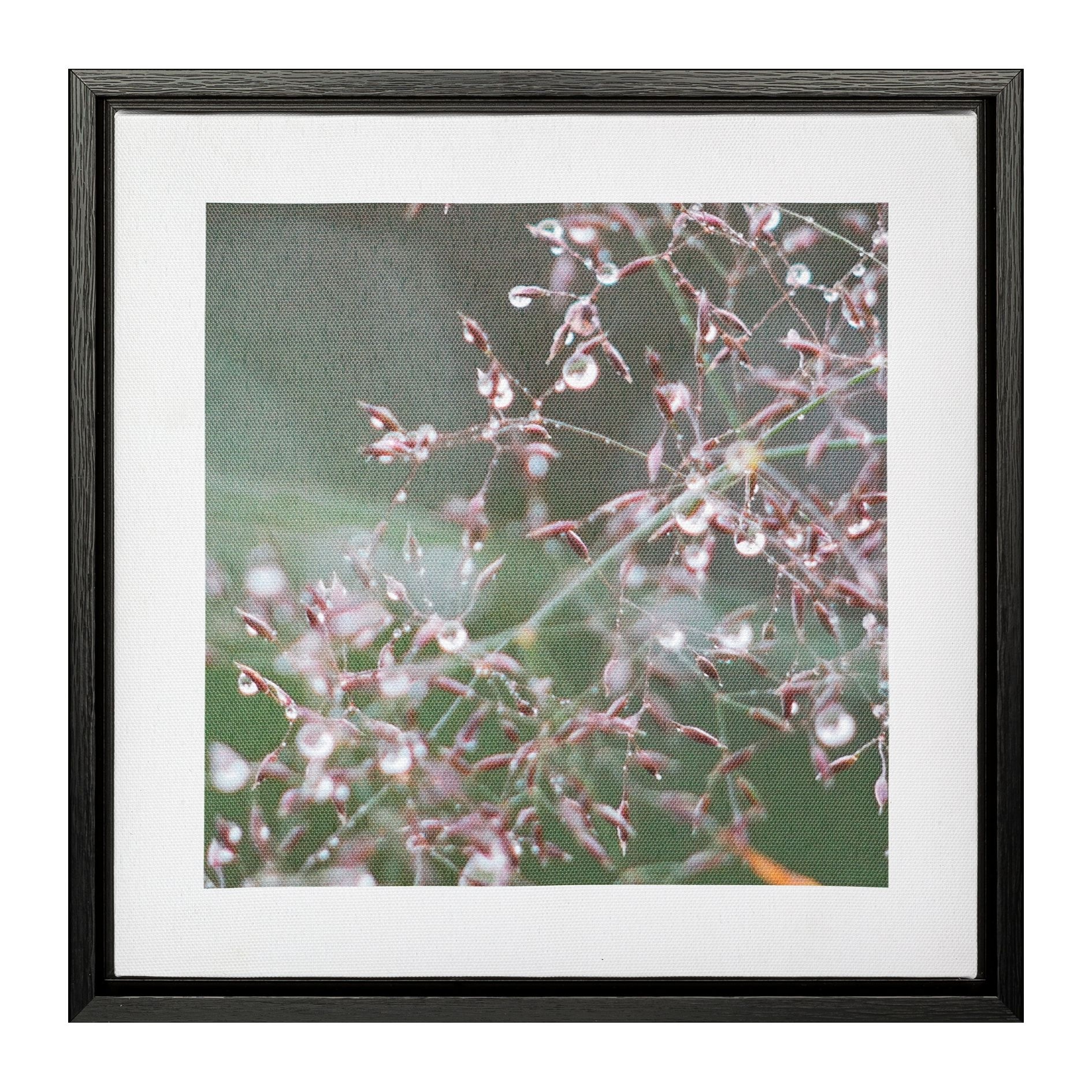 Creativ home Bild mit Rahmen »Blüte und Tau«, (2 St.), auf Canvas-Leinwand