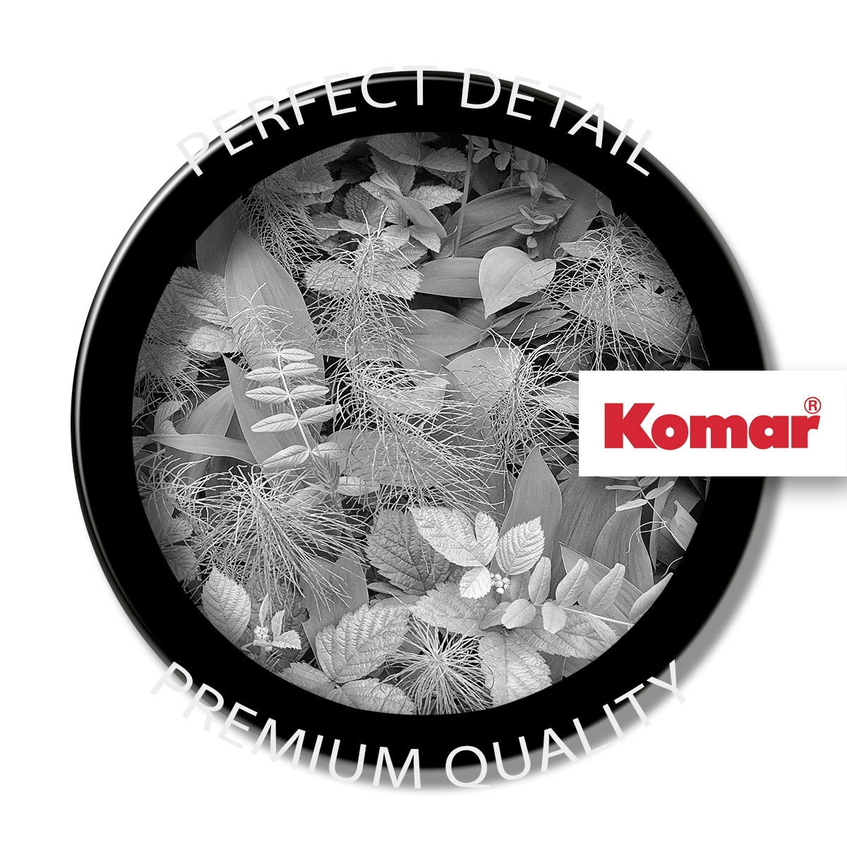 Komar Fototapete »Papier Fototapete - Forest Floor - Größe 368 x 254 cm« Motiv | bedruckt glatt