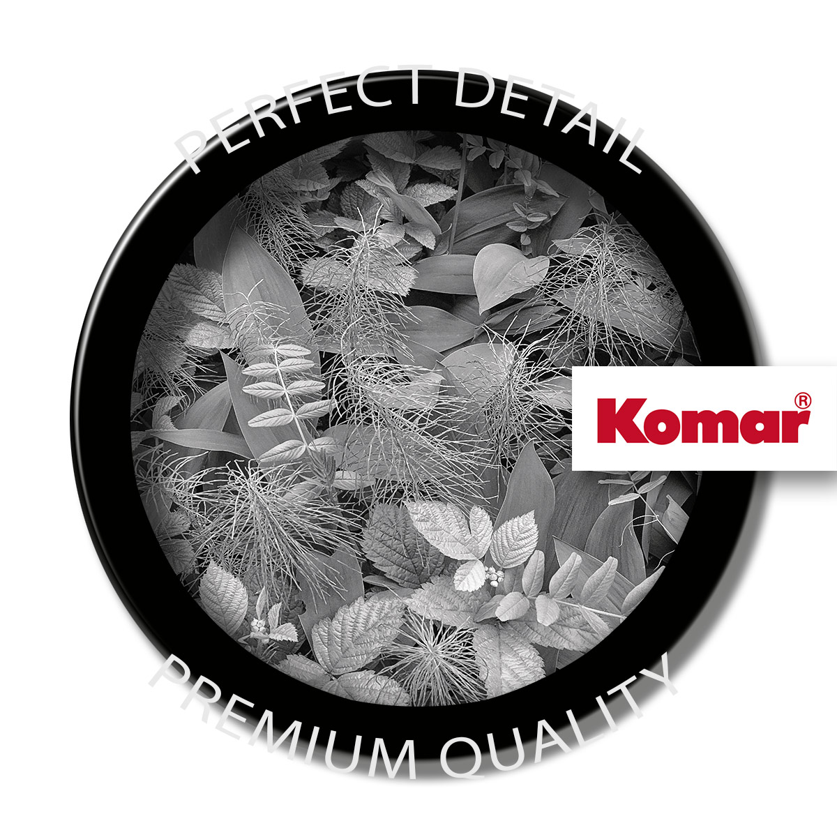 Thumbnail - Komar Fototapete "Papier Fototapete - Forest Floor - Größe 368 x 254 cm" Motiv bedruckt glatt