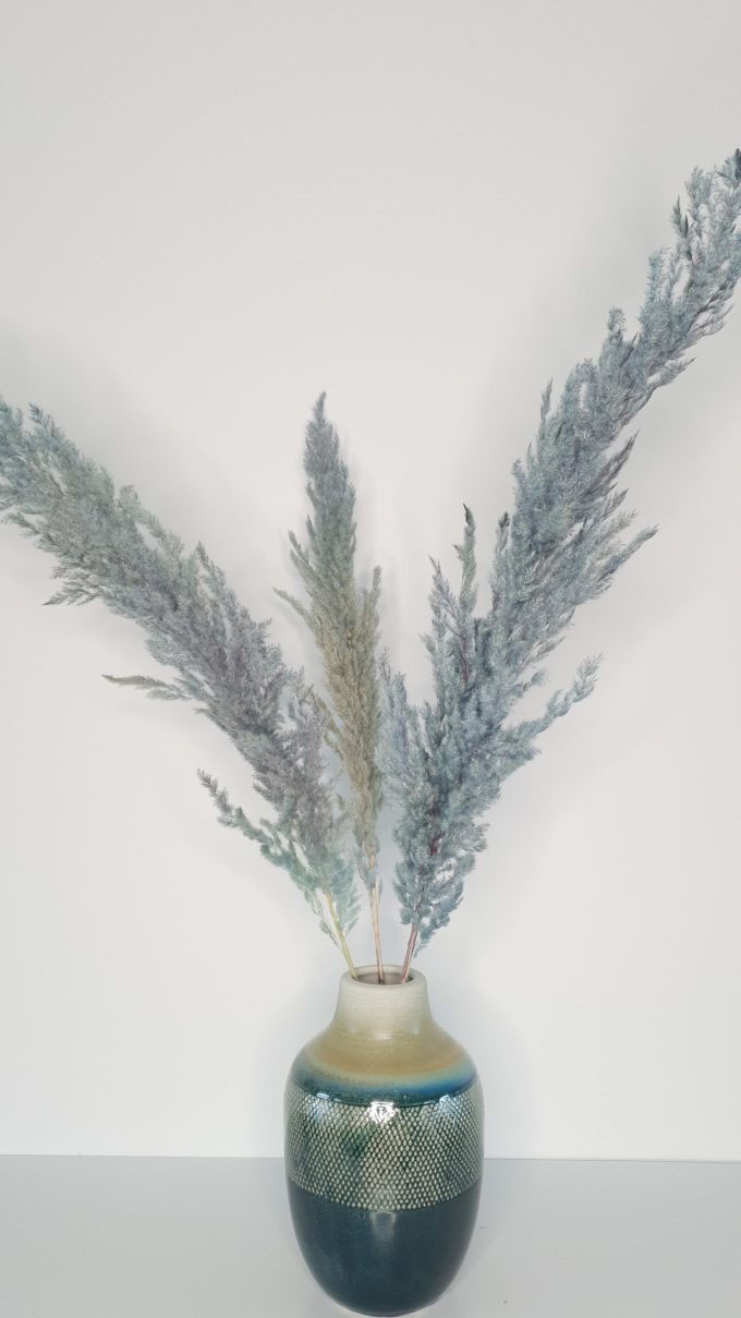 Everflowers Trockenblume »Dried Pampas«, (3 St.), 3er Set kaufen