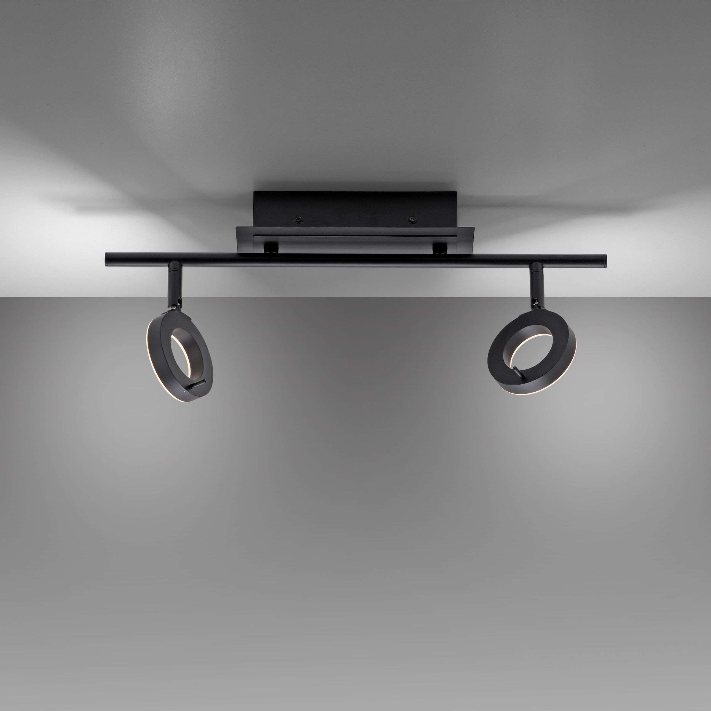 Paul Neuhaus Deckenleuchte »SILEDA«, 2 flammig, Leuchtmittel LED-Board | LED fest integriert, inkl. festverbaute LED, IP44, Spotköpfe verstellbar
