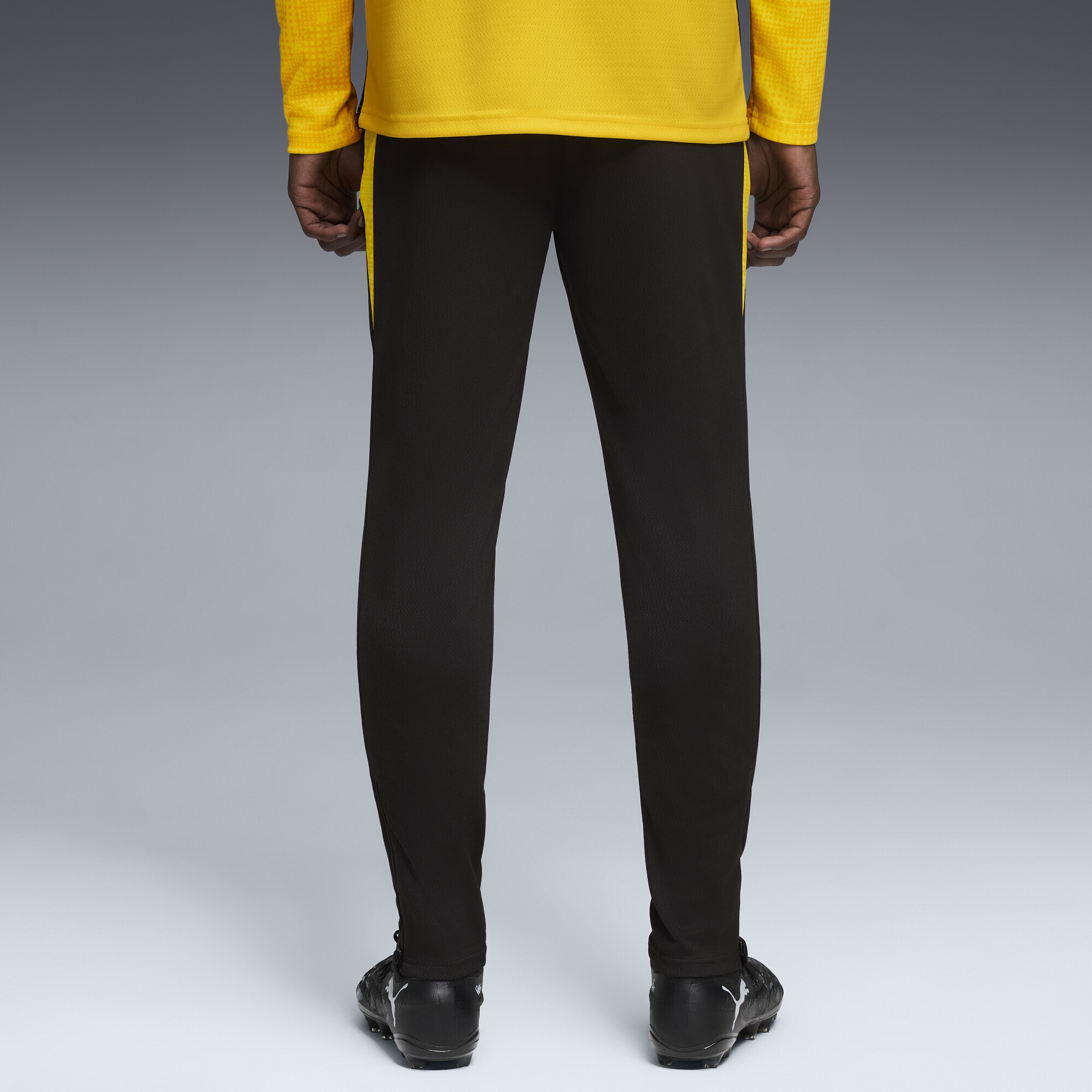 PUMA Sporthose »Borussia Dortmund Trainingshose Herren«