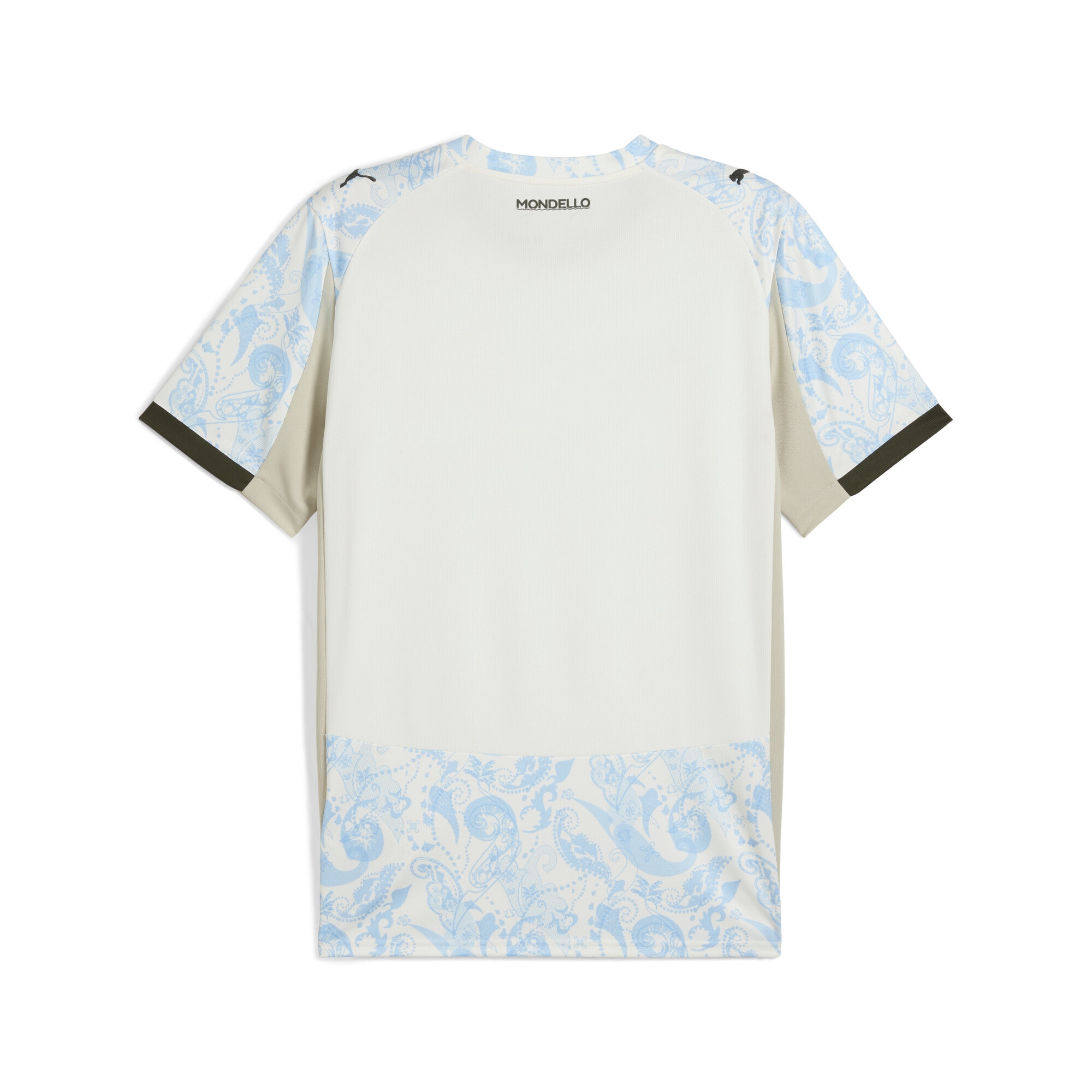 PUMA Trainingsshirt »Palermo F.C. 25/26 Replica Ausweichtrikot Herren«