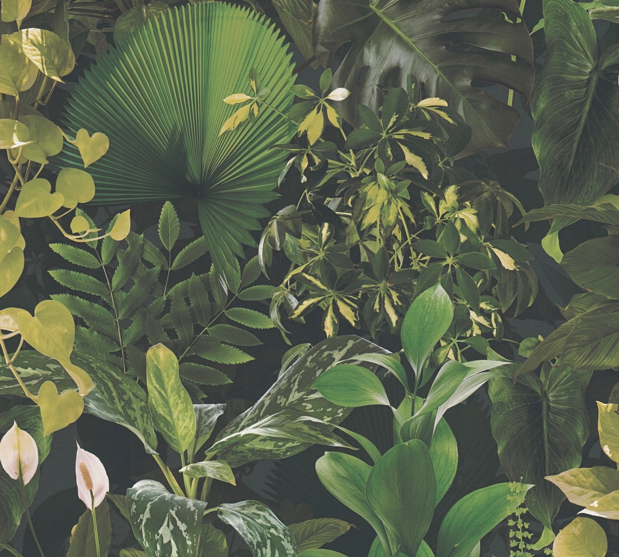 Thumbnail - A.S. Création Vliestapete "PintWalls II Dschungel-Tapete Mustertapete Pflanzen Natur" matt strukturiert Vliestapete flor...