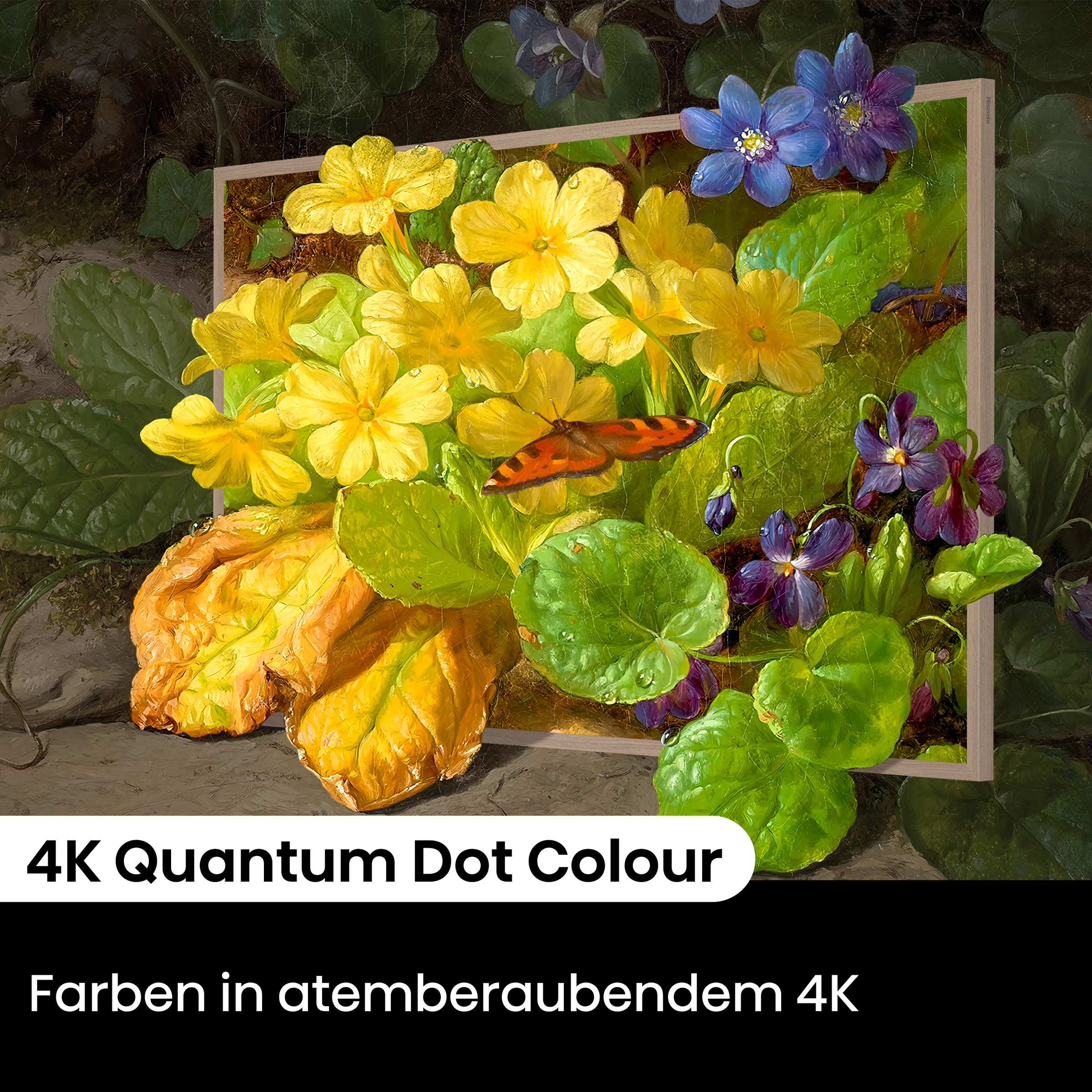 Hisense QLED-Fernseher »55S7NQ«, 4K Ultra HD, Smart-TV, 4K UHD QLED