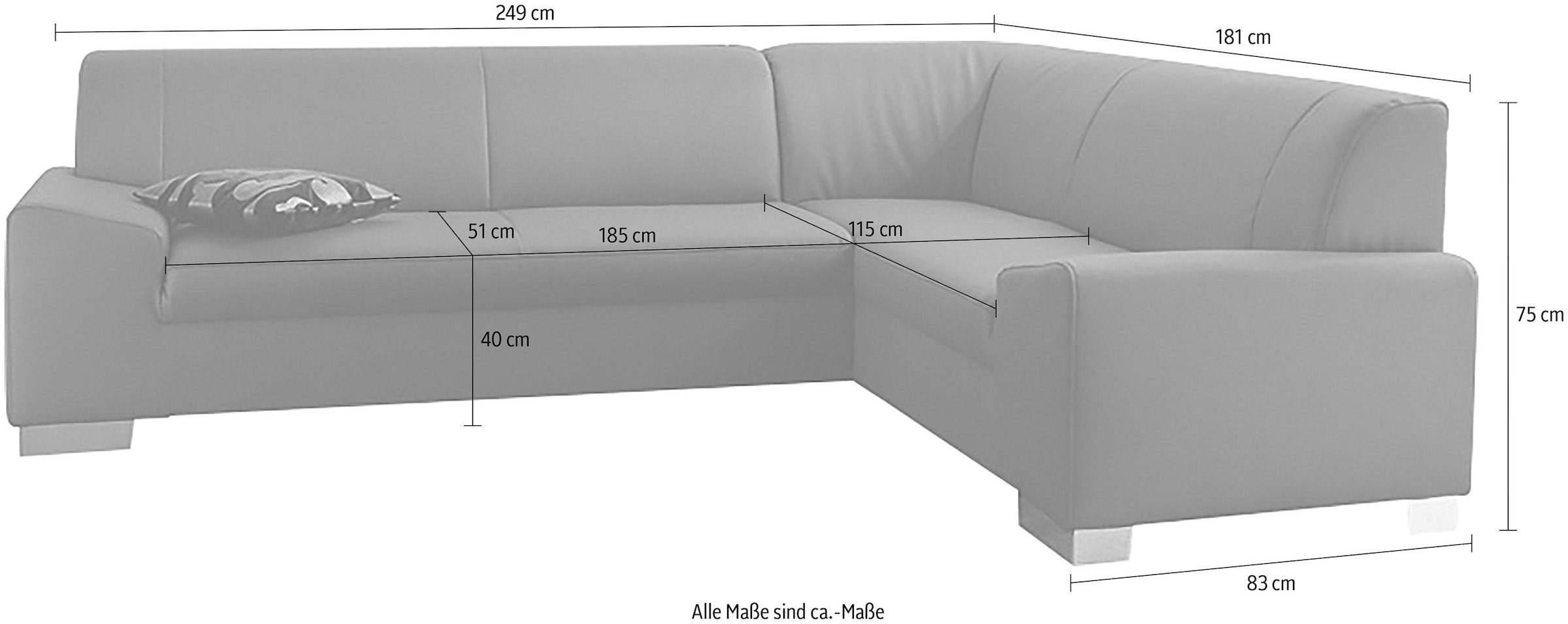 DOMO collection Ecksofa »Alisson, zeitlose Optik, flache Armlehnen, L-Form« fester Sitzkomfort, wahlweise mit Bettfunktion